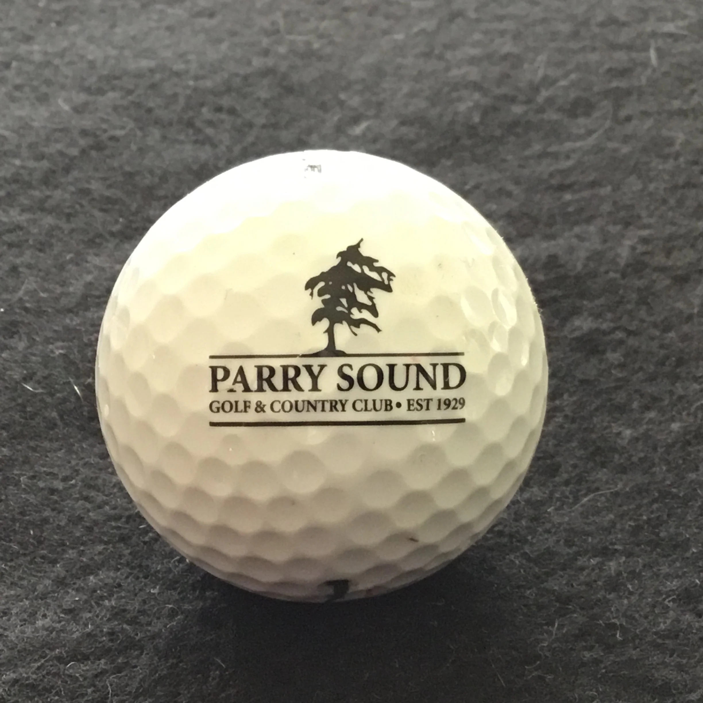 Parry Sound Golf and Country Club