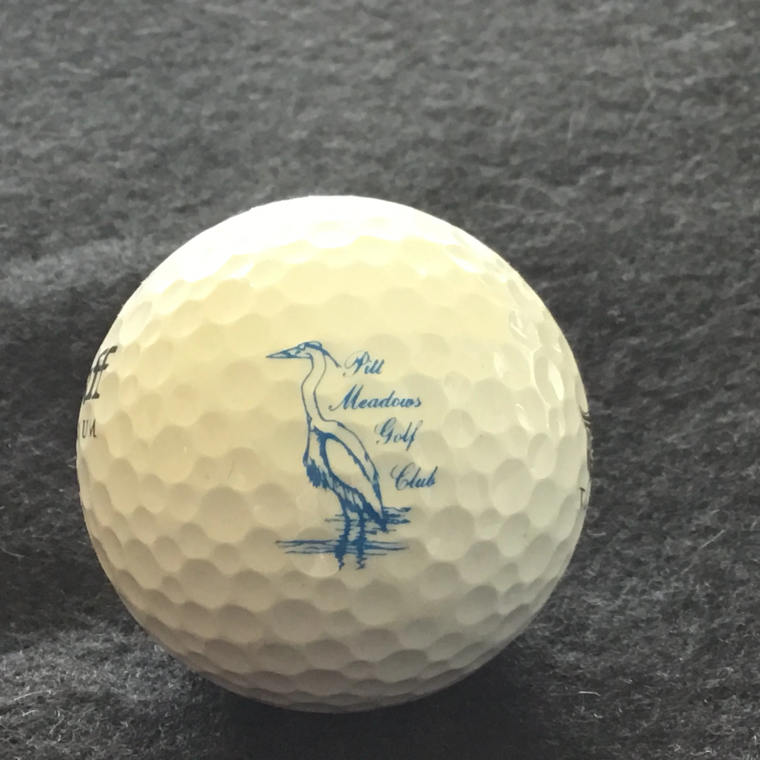 Pitt Meadows Golf Club