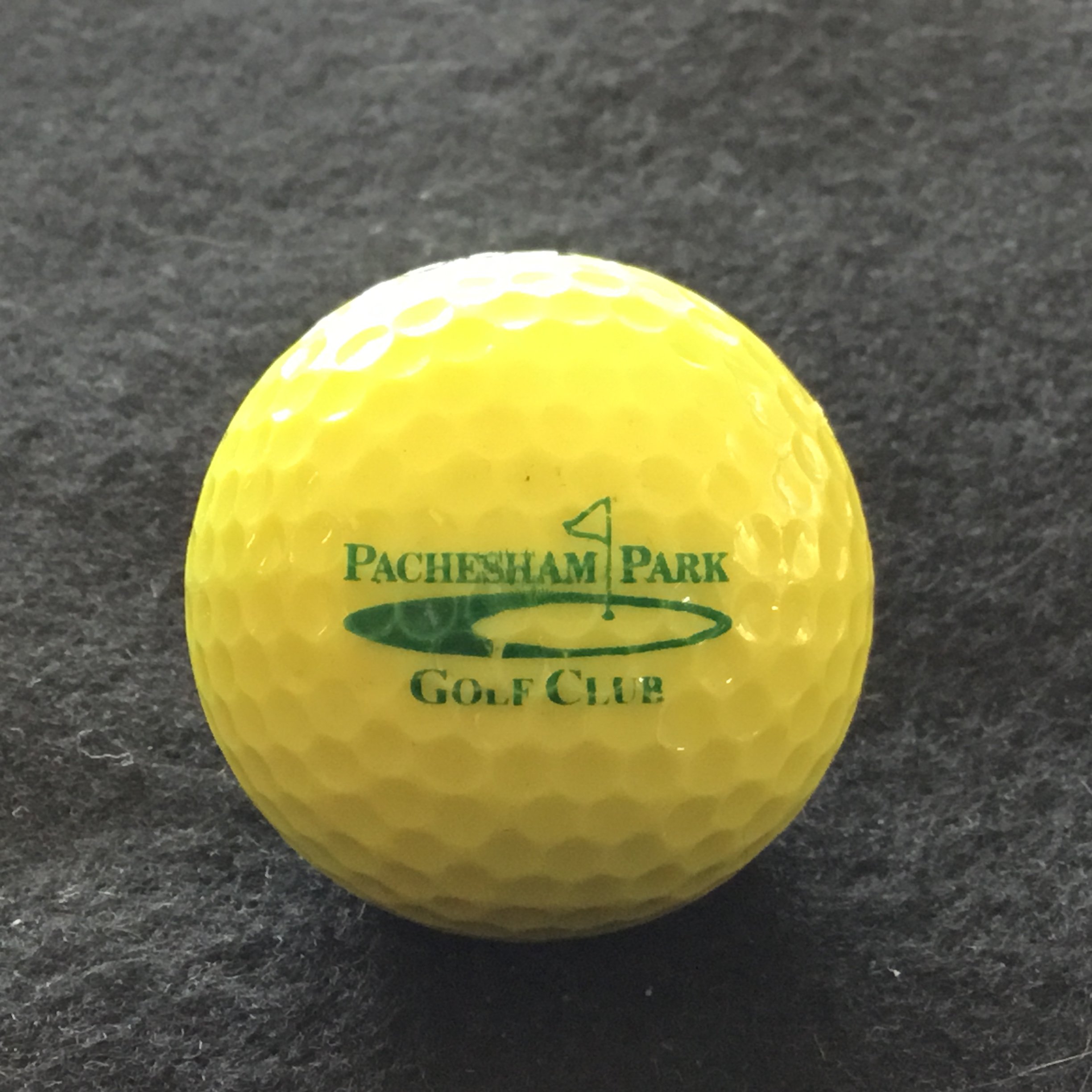 Pachesham Park Golf Club