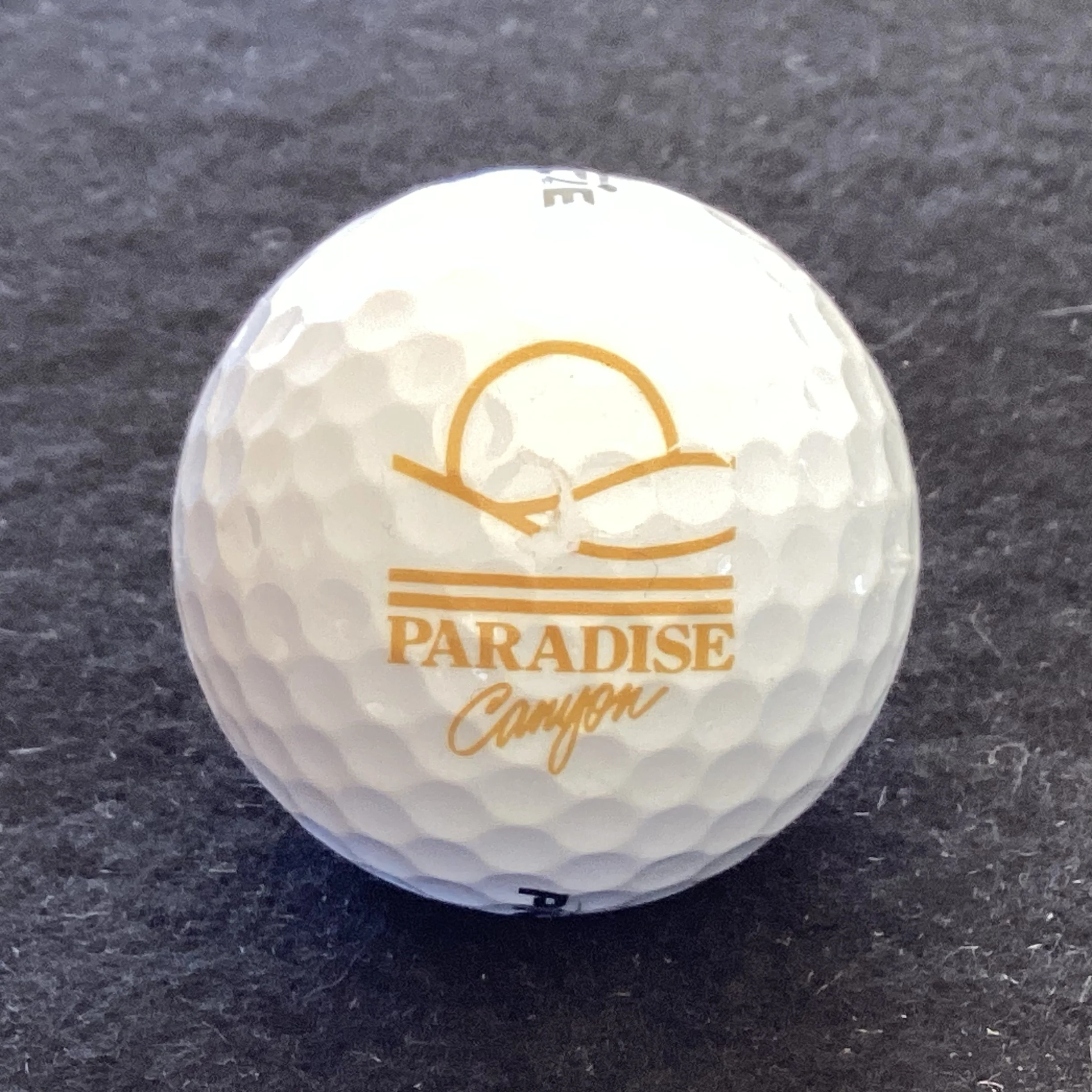 Paradise Canyon Golf Resort