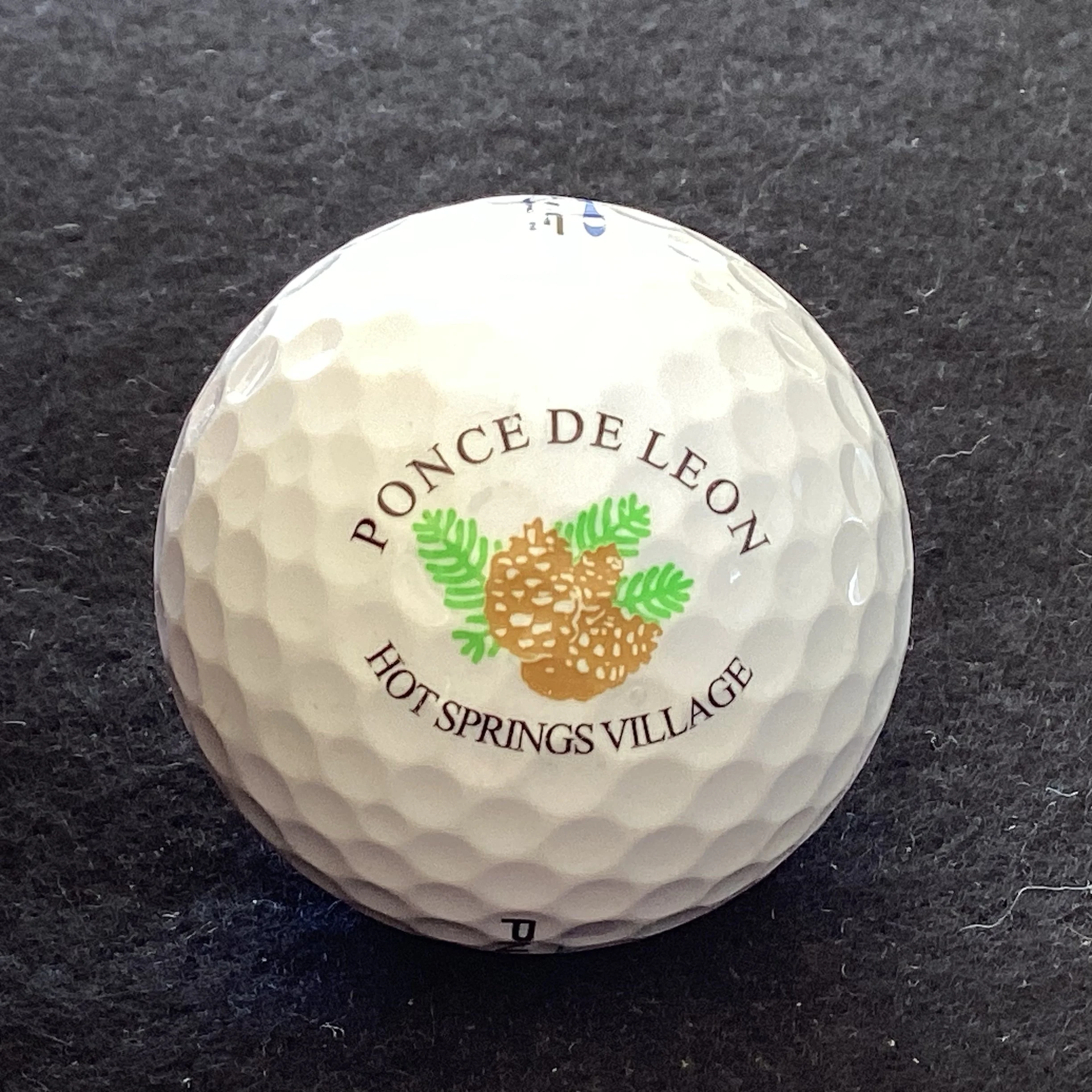 Ponce De Leon at Hot Springs Village