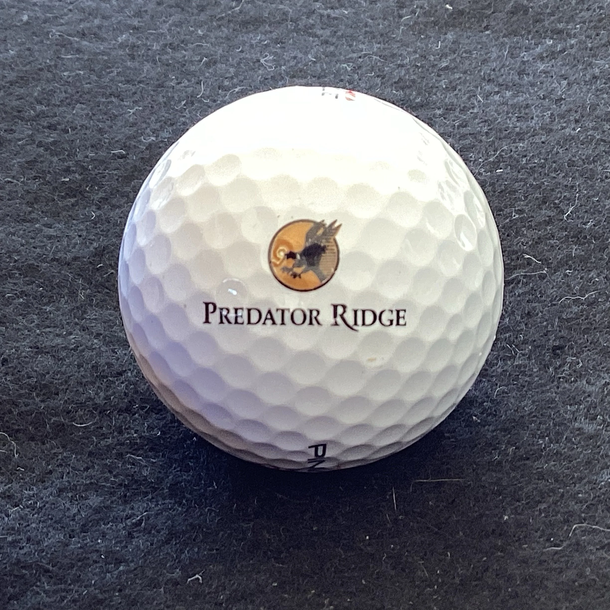 Predator Ridge Golf Resort
