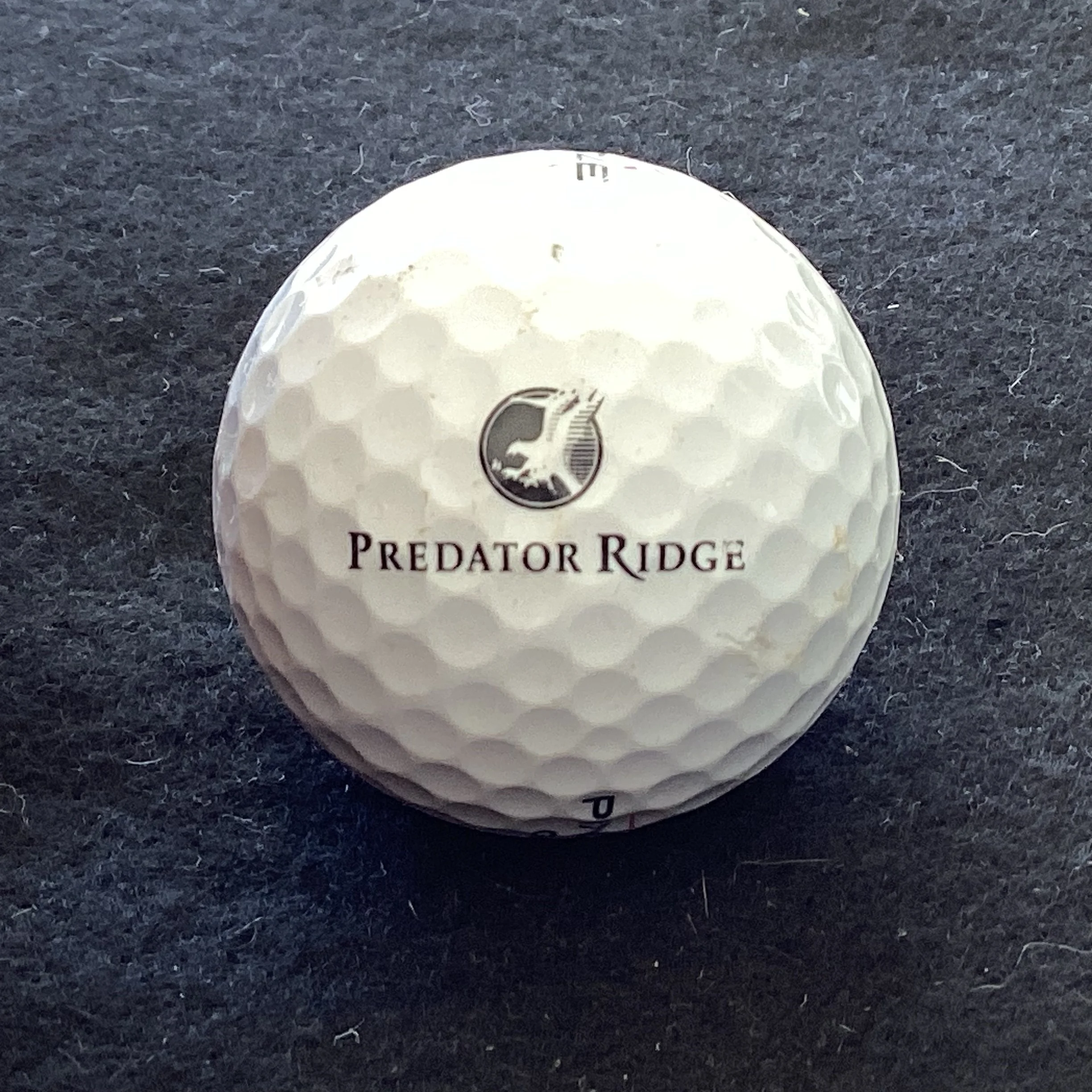 Predator Ridge Golf Resort