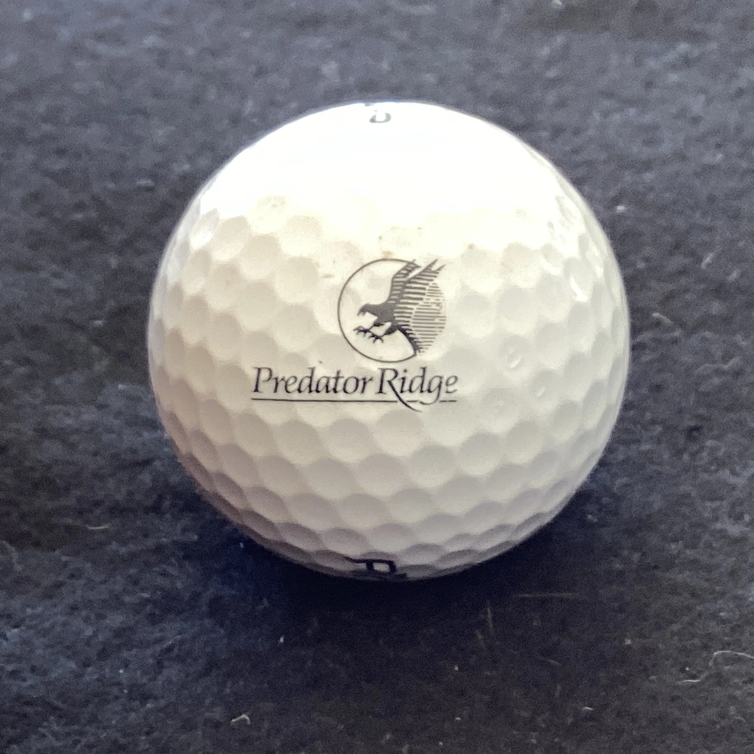 Predator Ridge Golf Resort