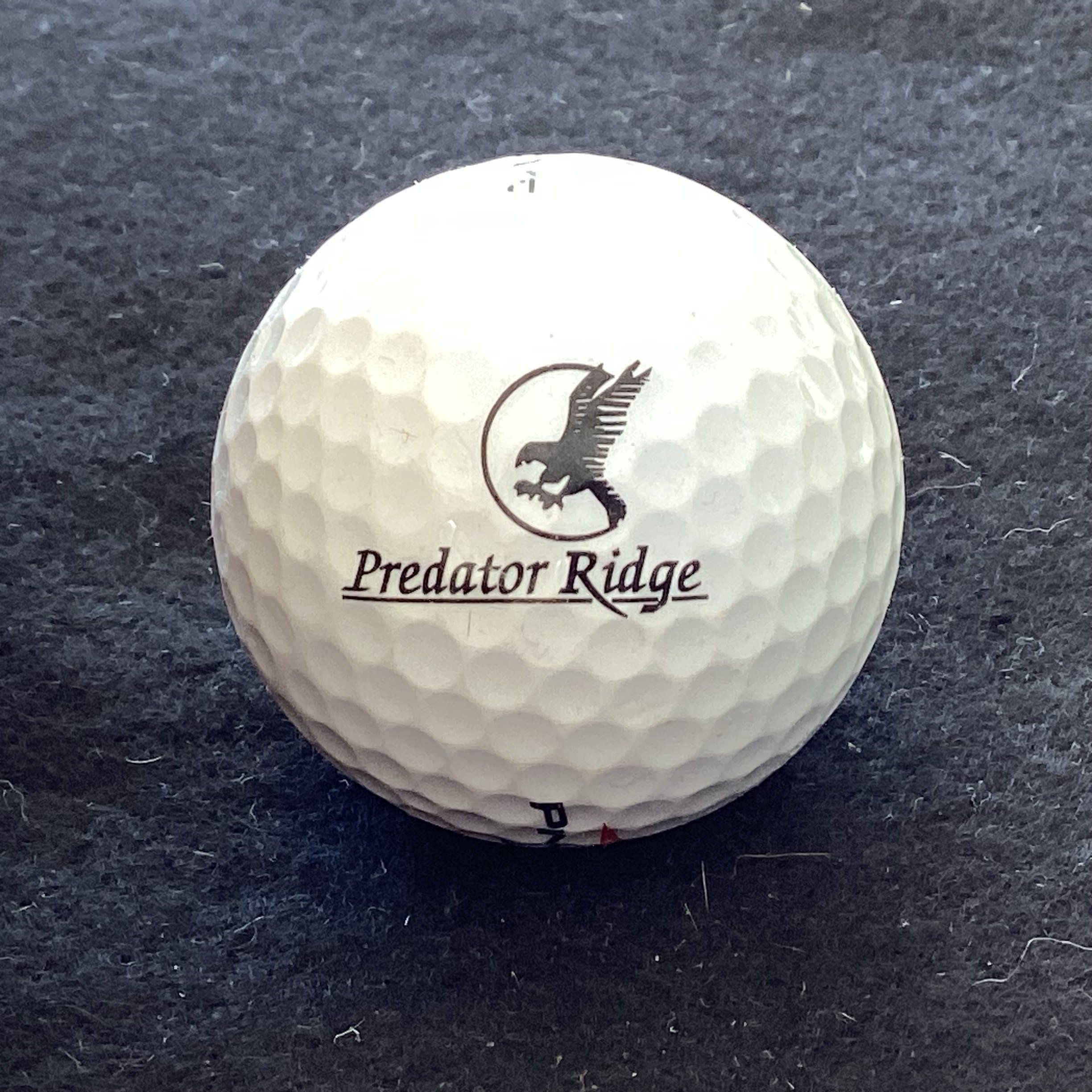 Predator Ridge Golf Resort