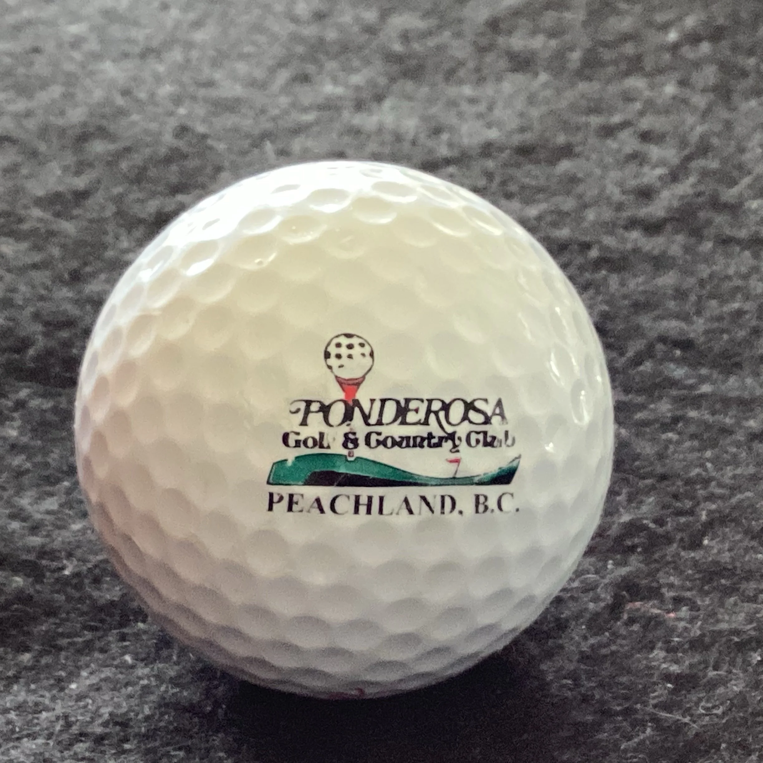 Ponderosa Golf and Country Club