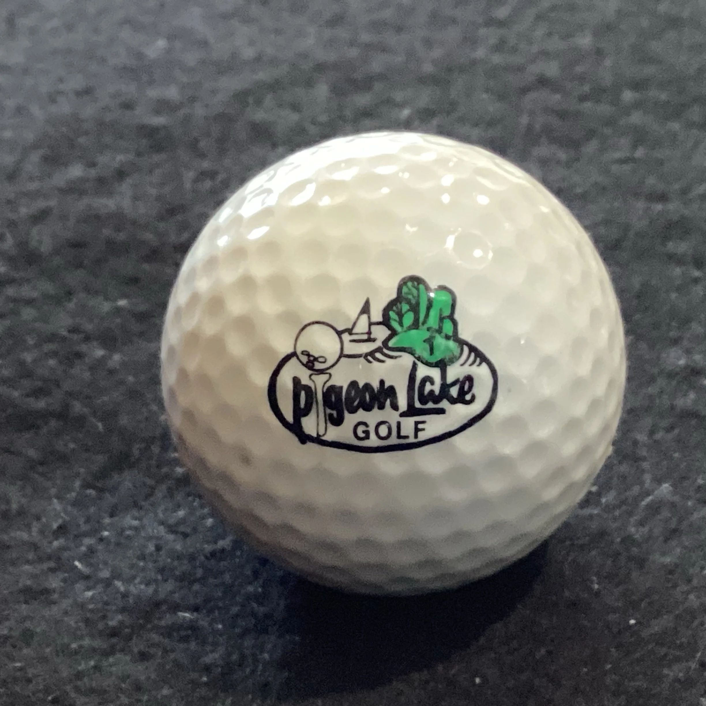 Pigeon Lake Golf Club