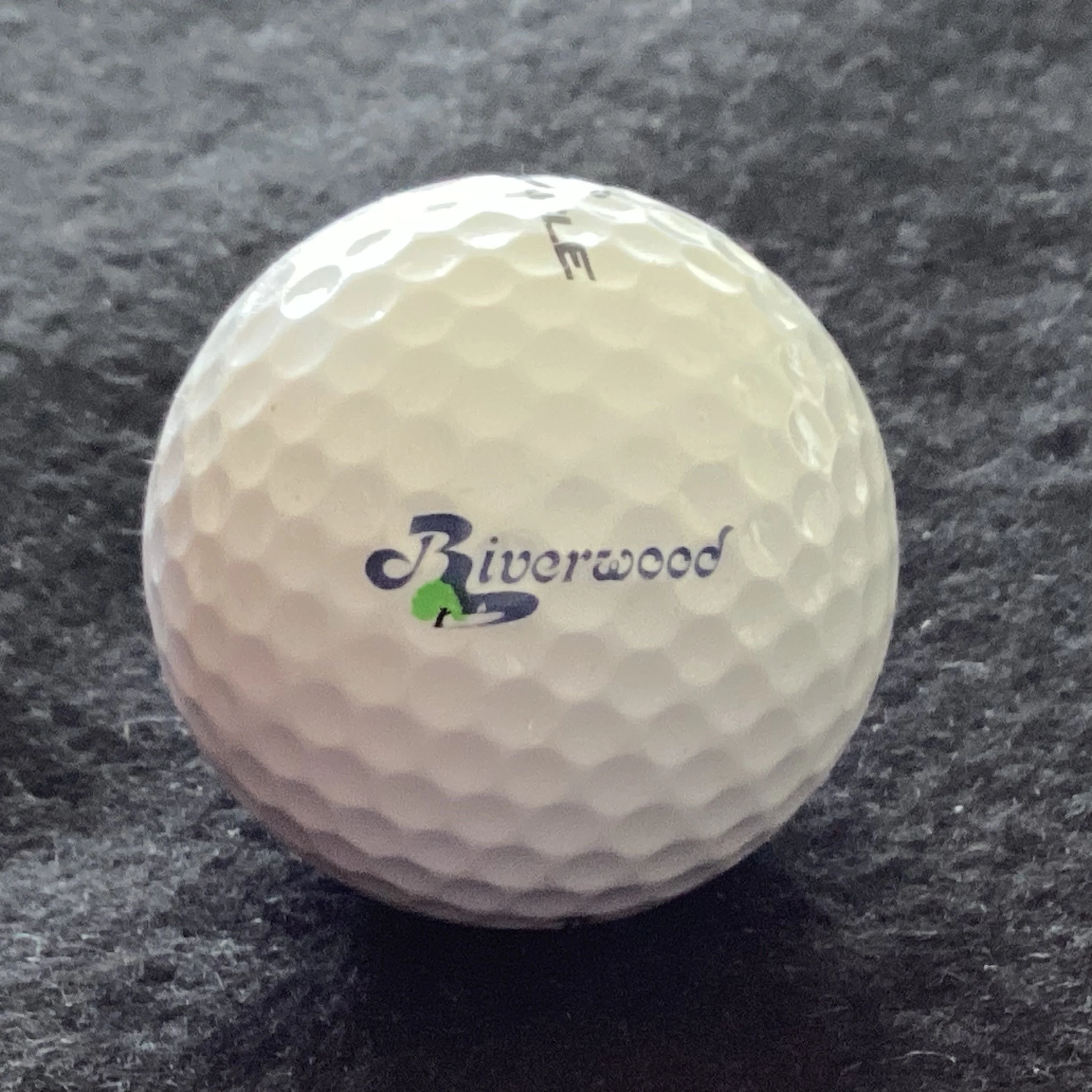 Riverwood Resort