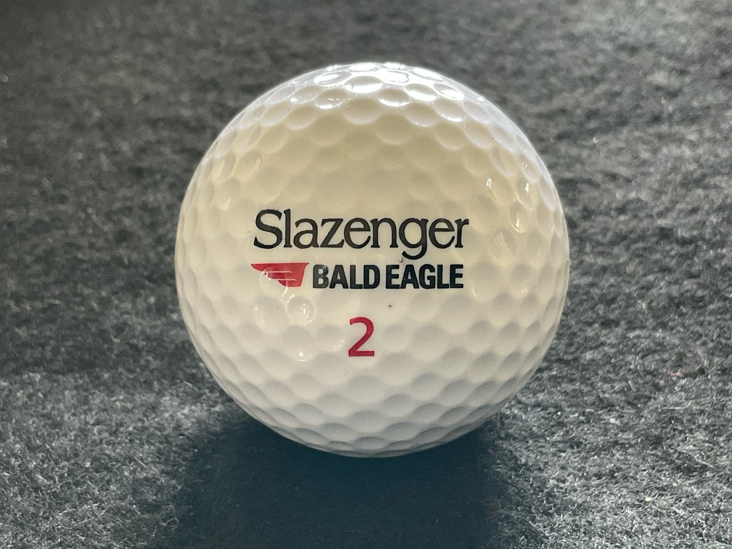 Slazenger - Bald Eagle