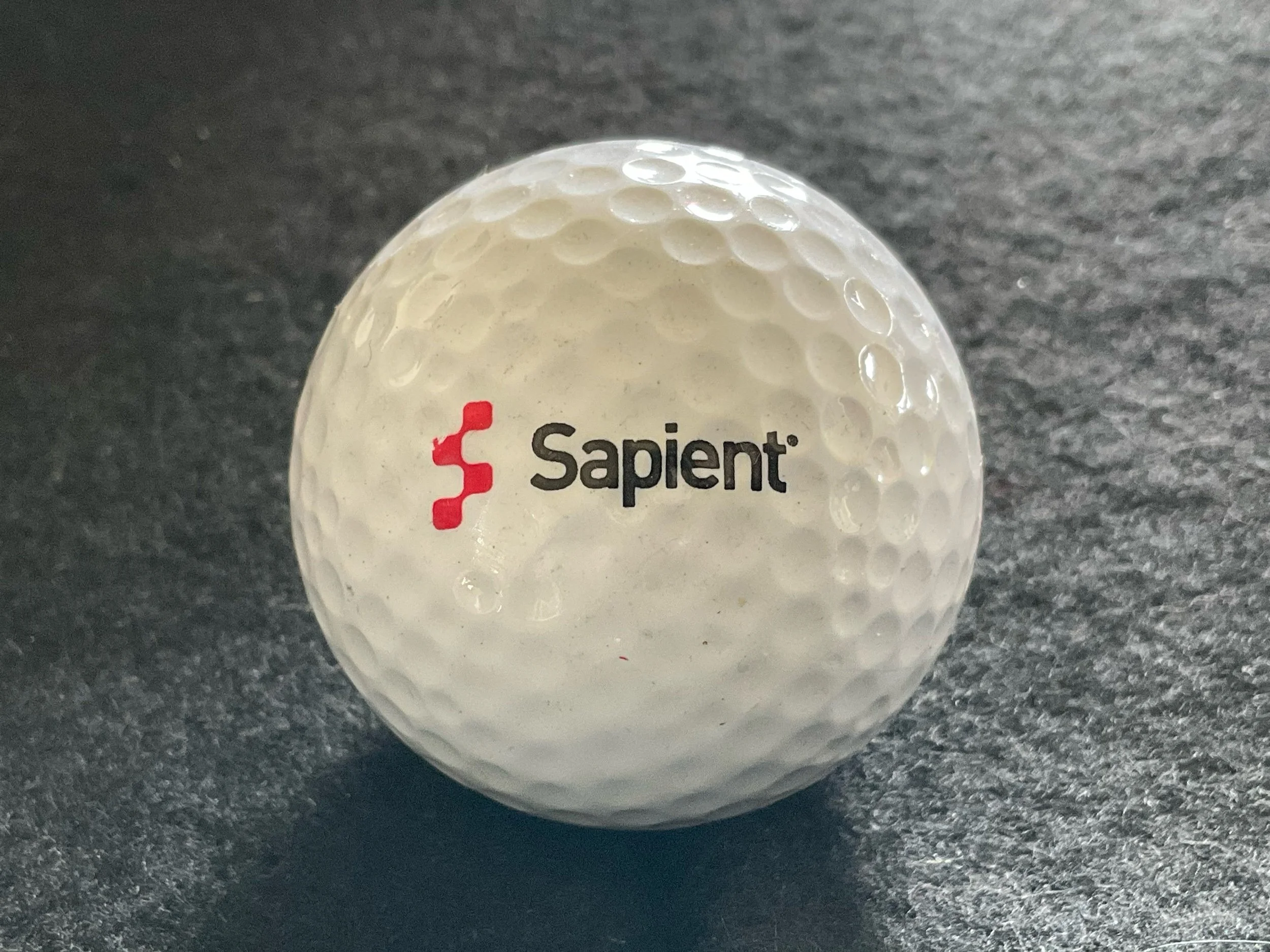 Sapient