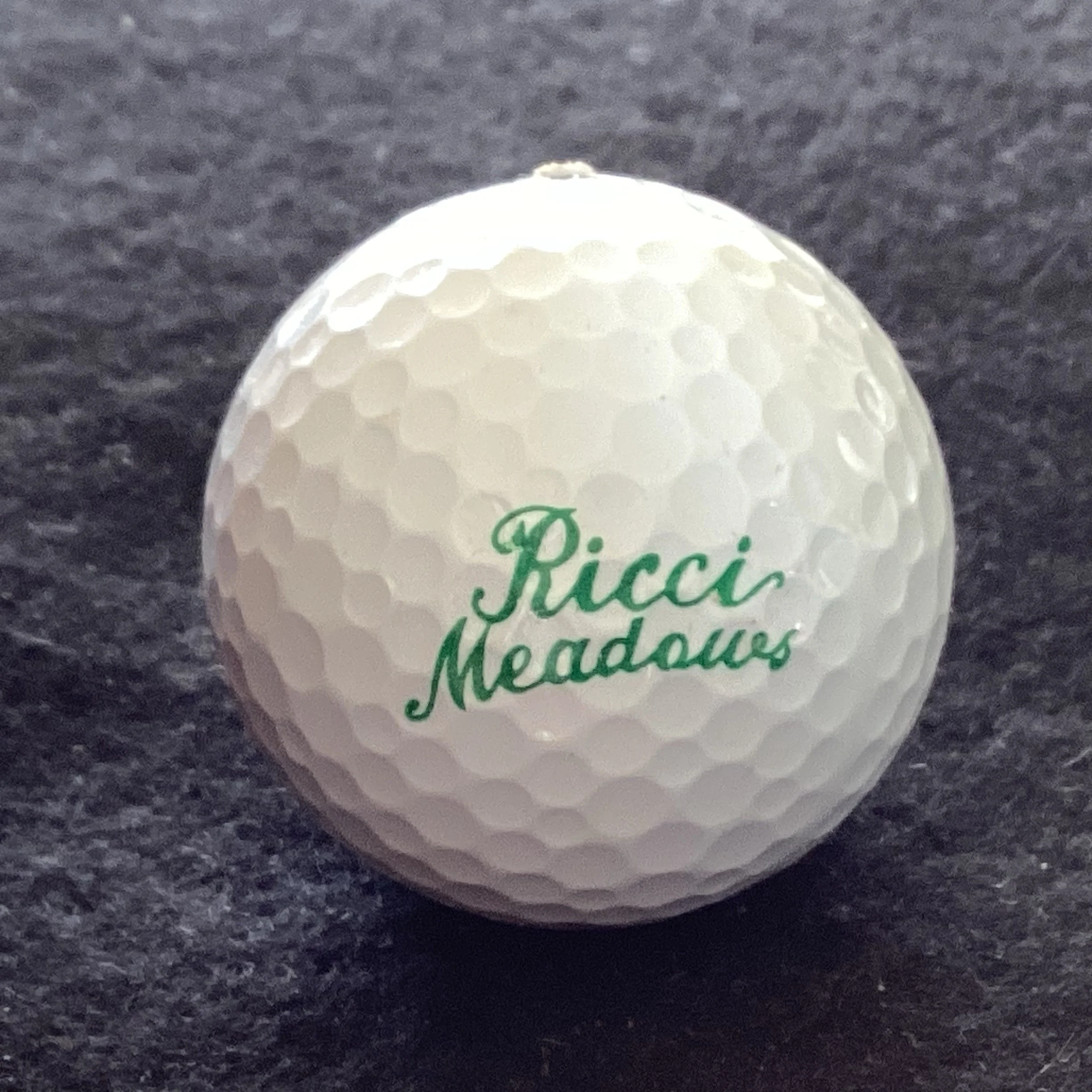 Ricci Meadows Golf Course