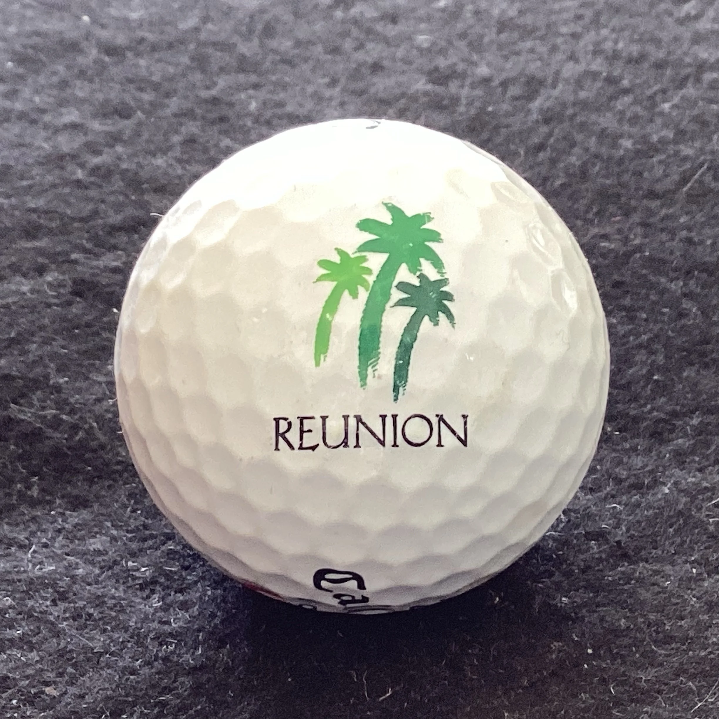 Reunion Resort