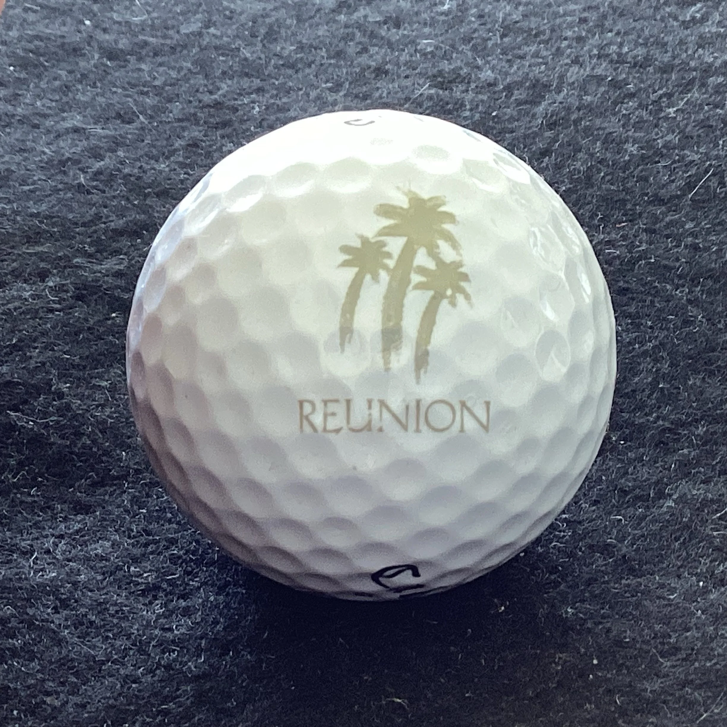 Reunion Resort