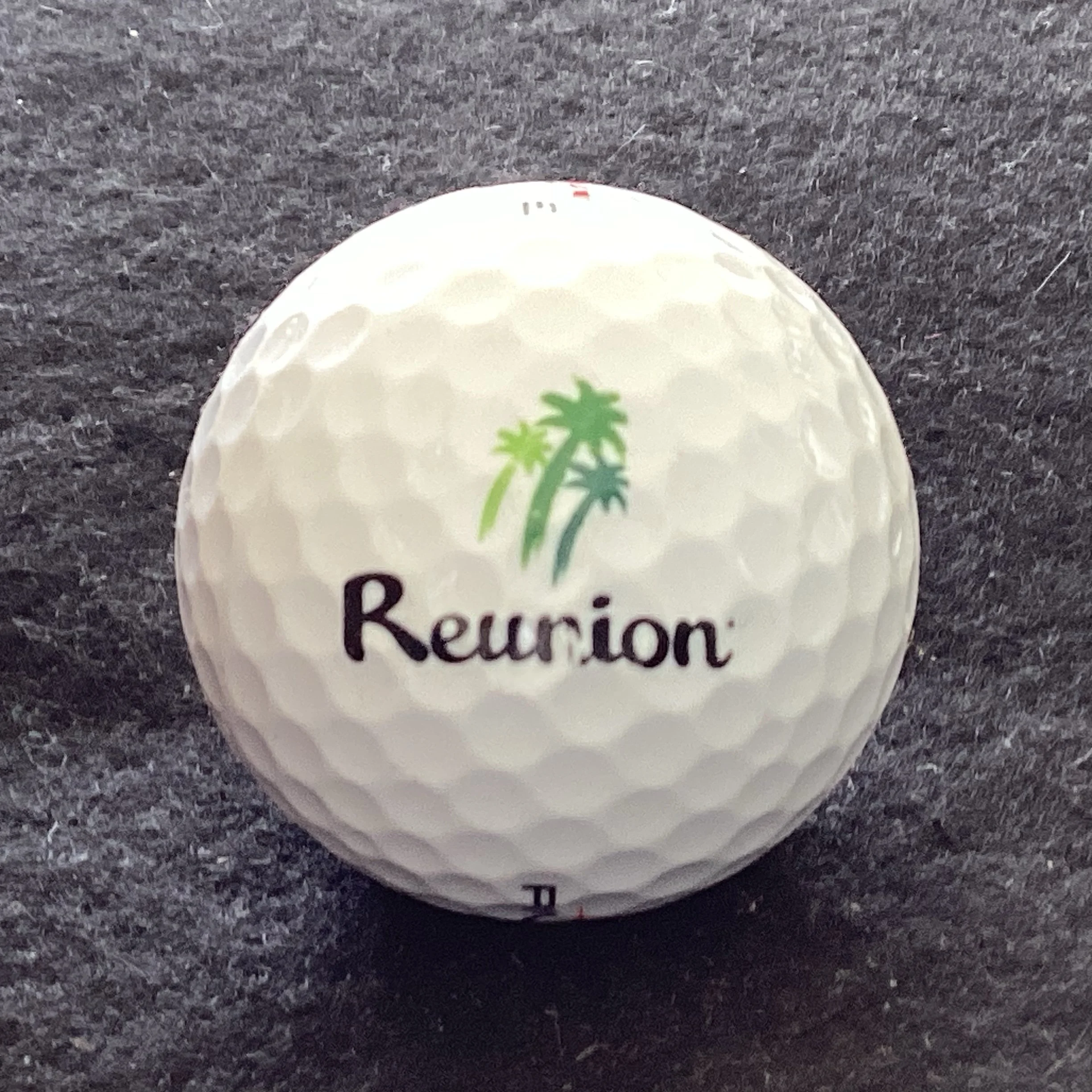 Reunion Resort