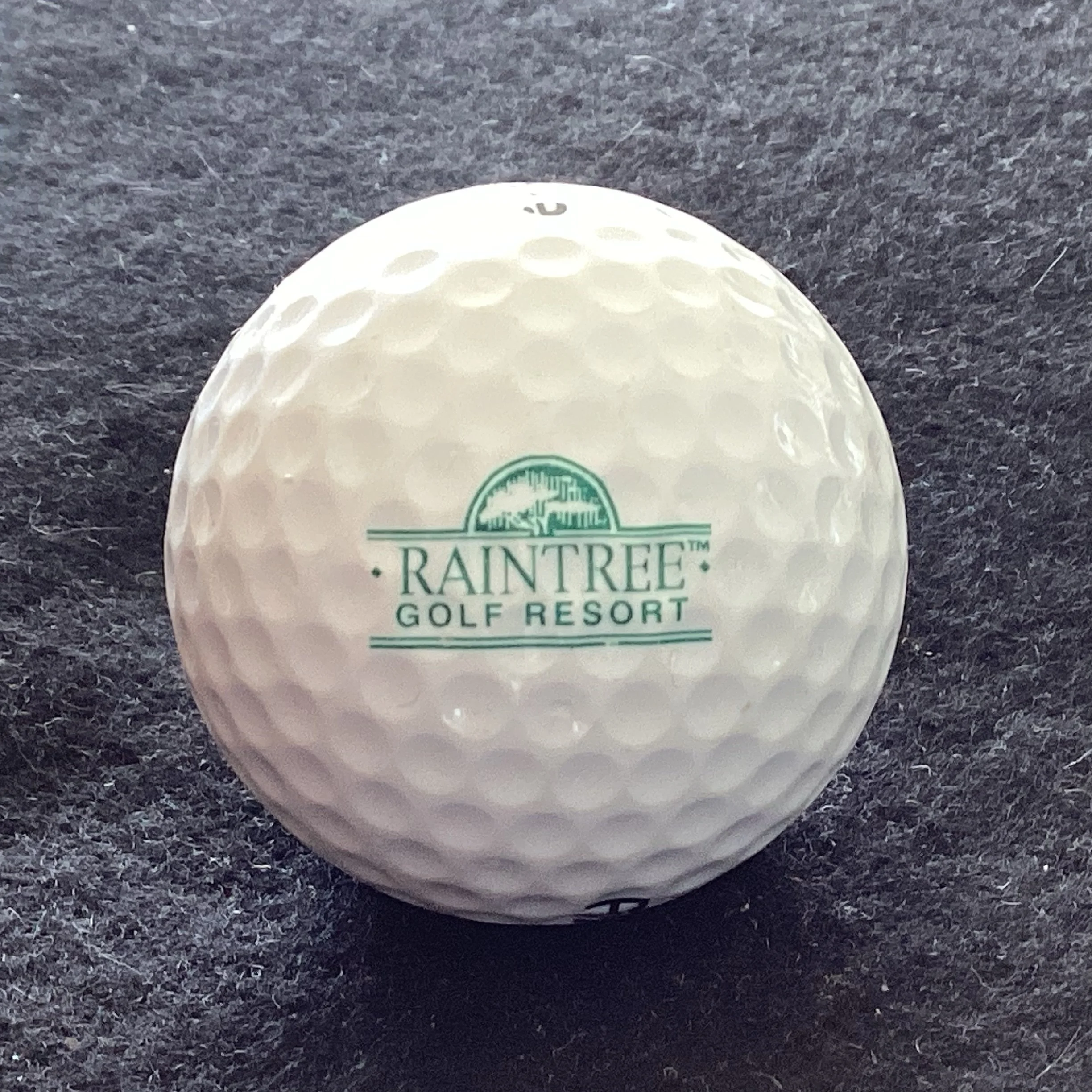 Raintree Golf Resort