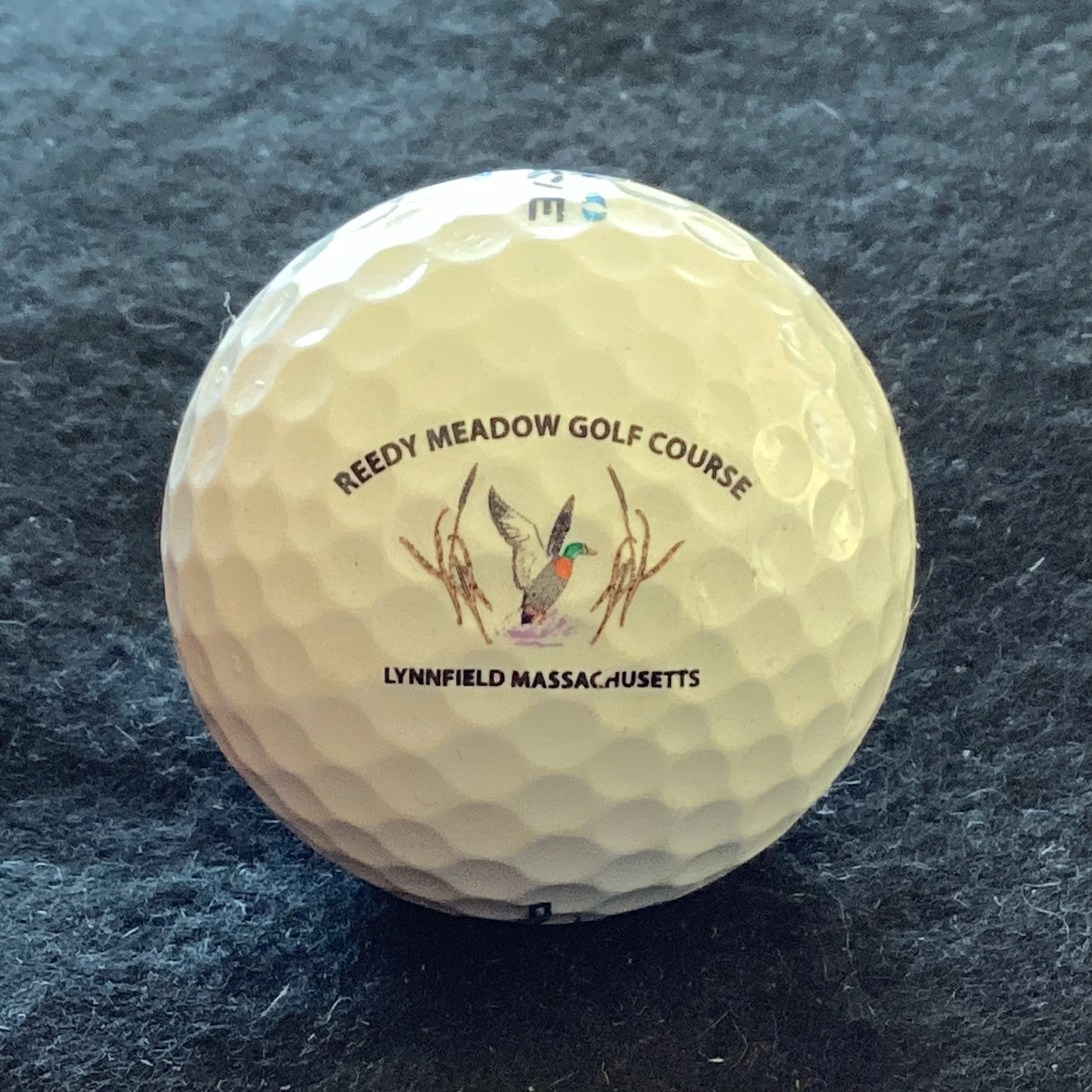 Reedy Meadow Golf Course