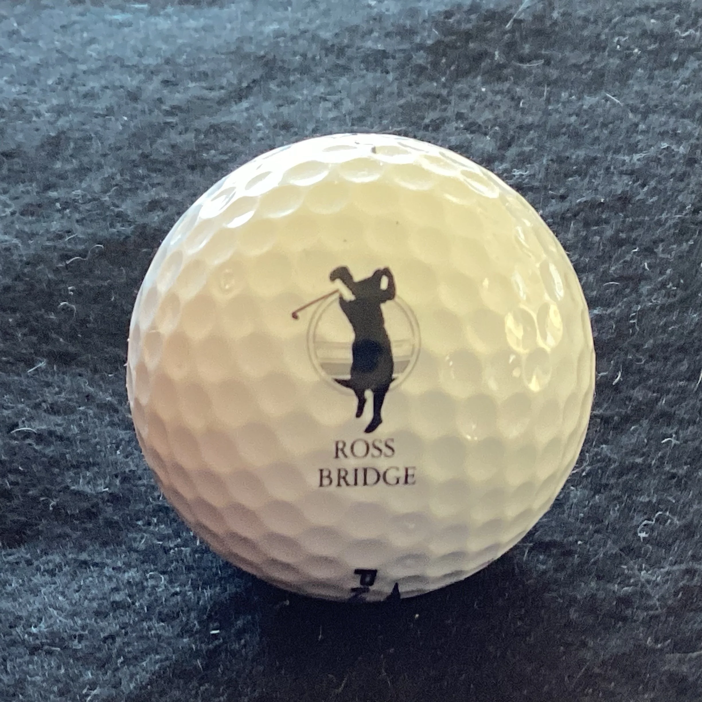 Ross Bridge Golf Resort and Spa