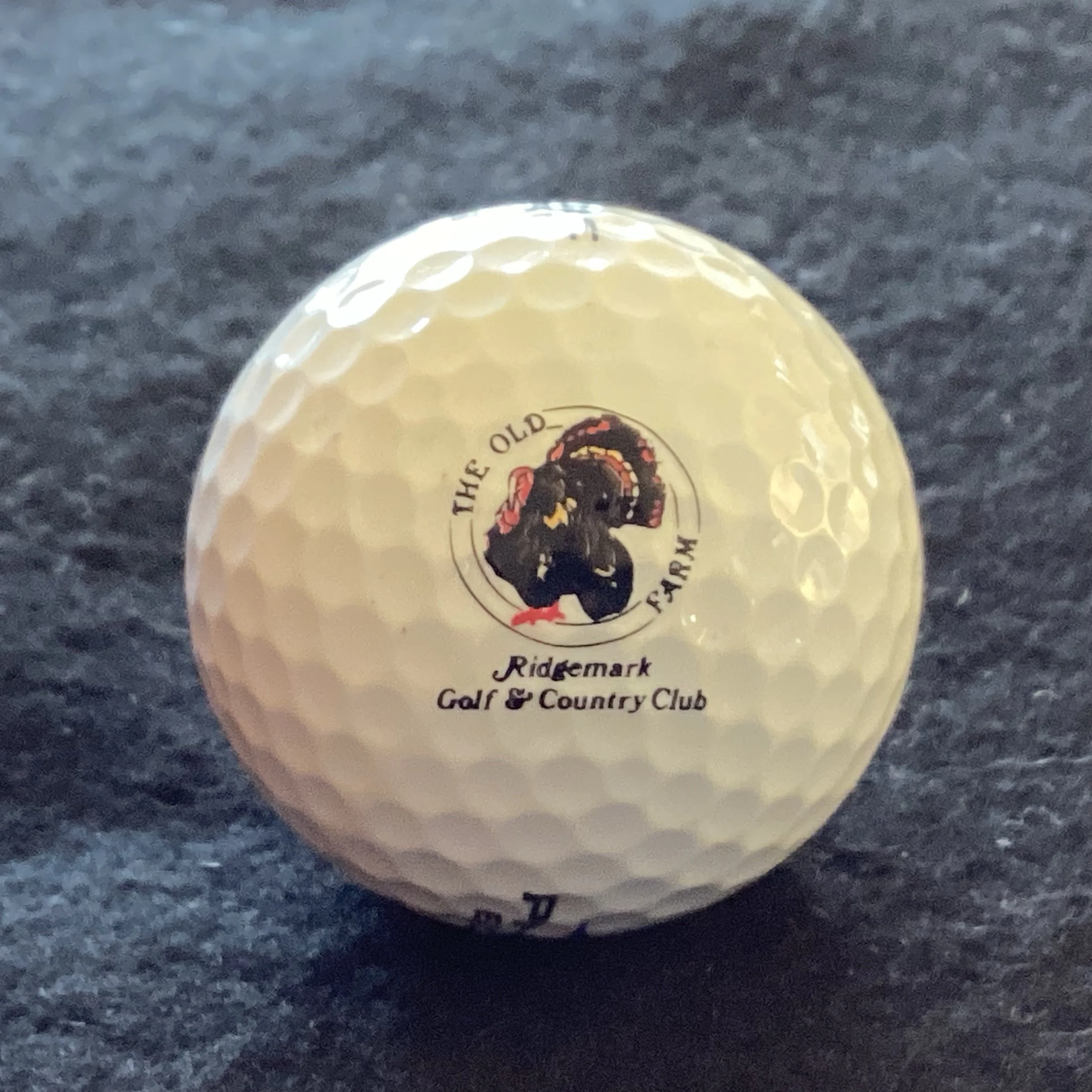 Ridgemark Golf and Country Club on The Old Turkey Farm affectionately known as The Old Farm