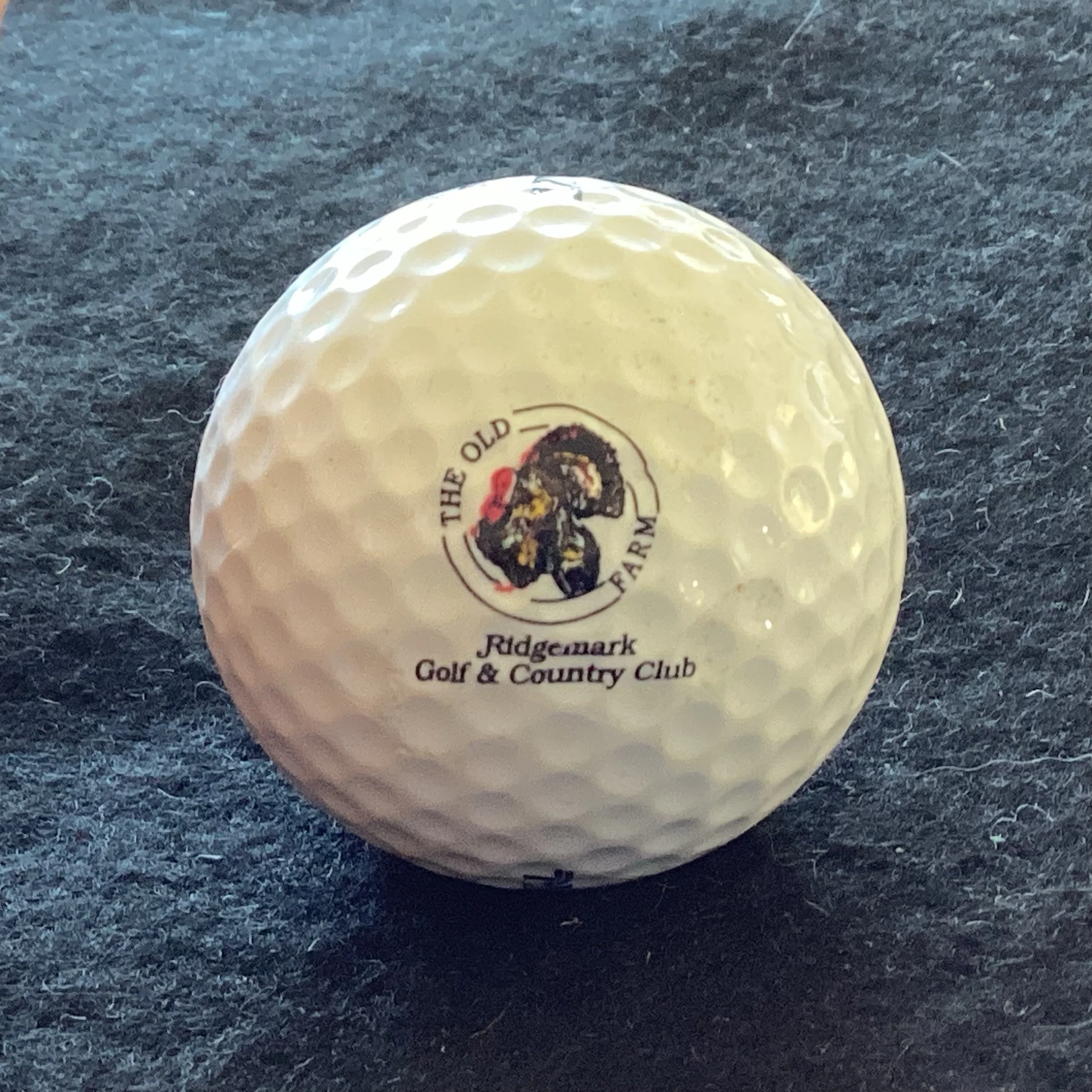 Ridgemark Golf and Country Club on The Old Turkey Farm affectionately known as The Old Farm