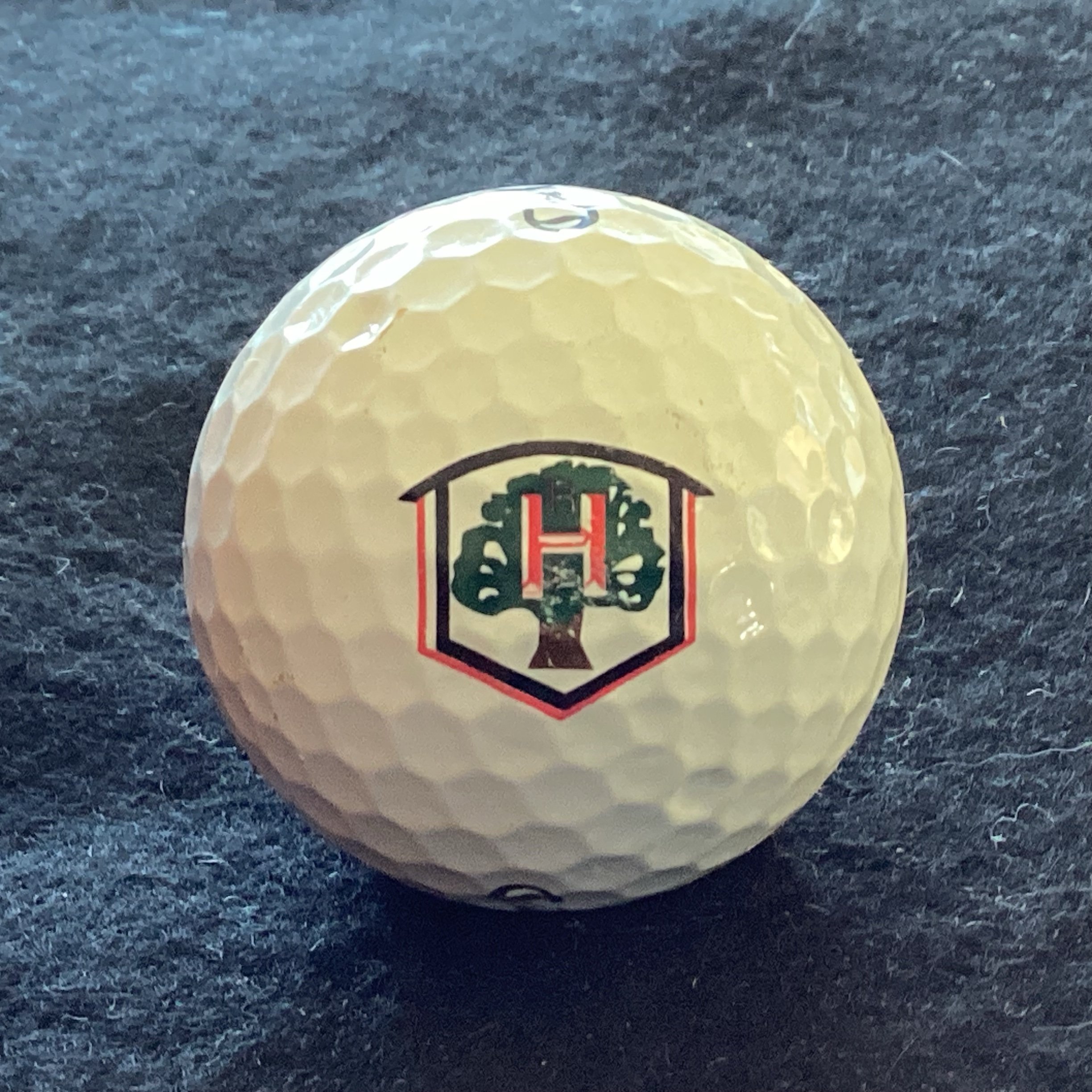 Rich Harvest Farms Golf Course