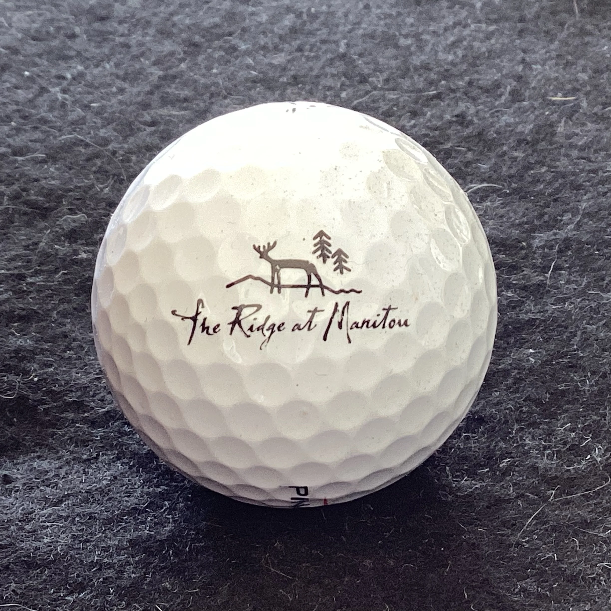 Ridge - The Ridge at Manitou