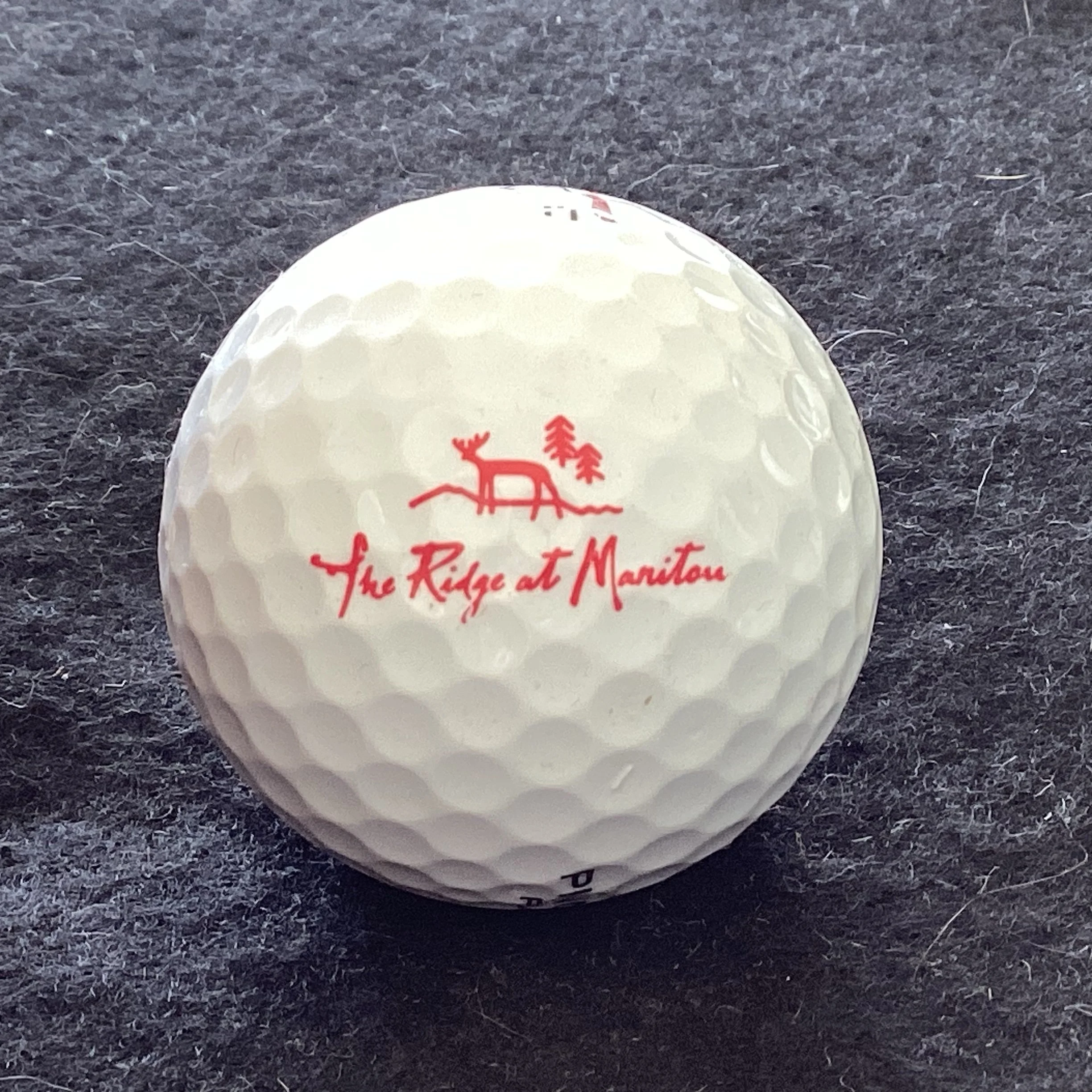 Ridge - The Ridge at Manitou