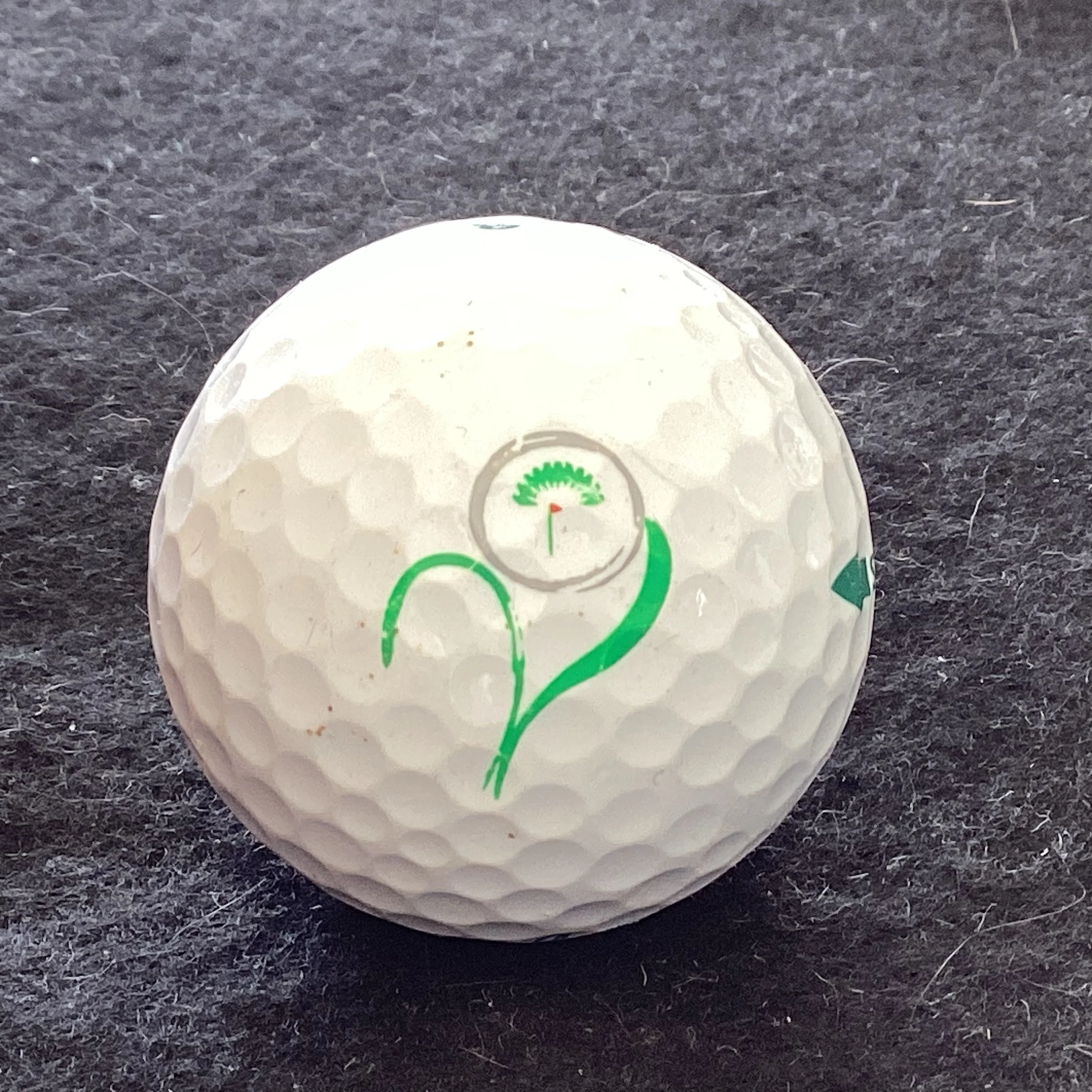 Raffles Country Club