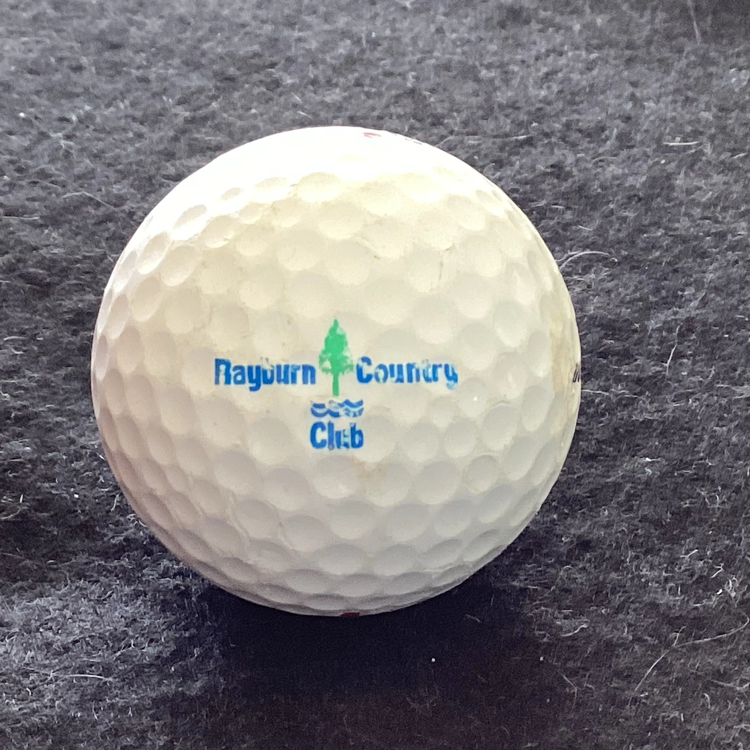 Rayburn Country Club