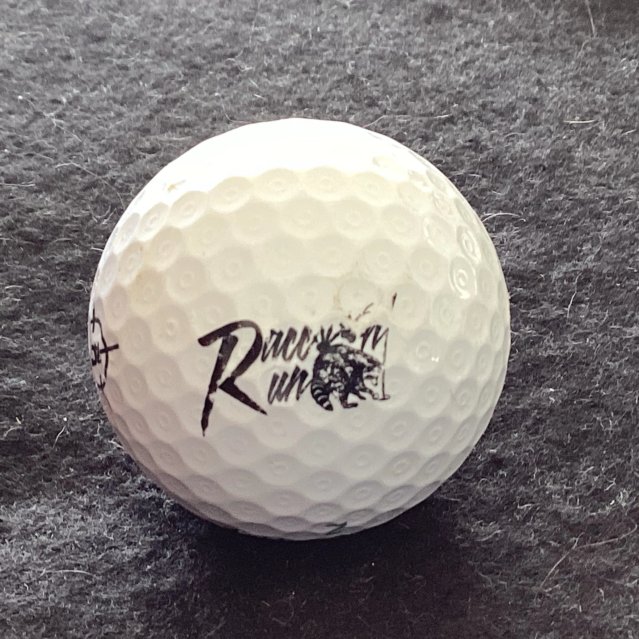 Raccoon Run Golf Course