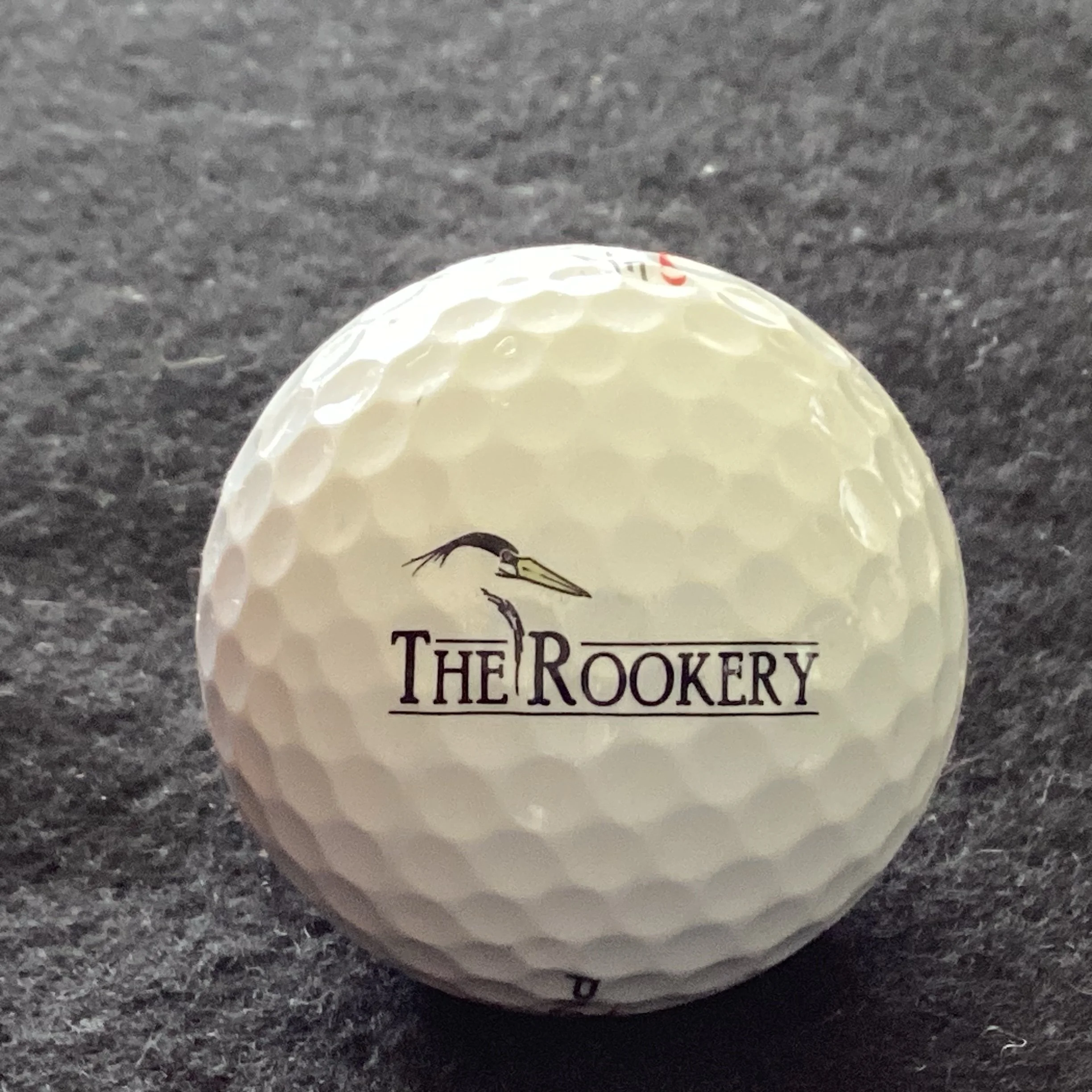 Rookery - The Rookery at Marco