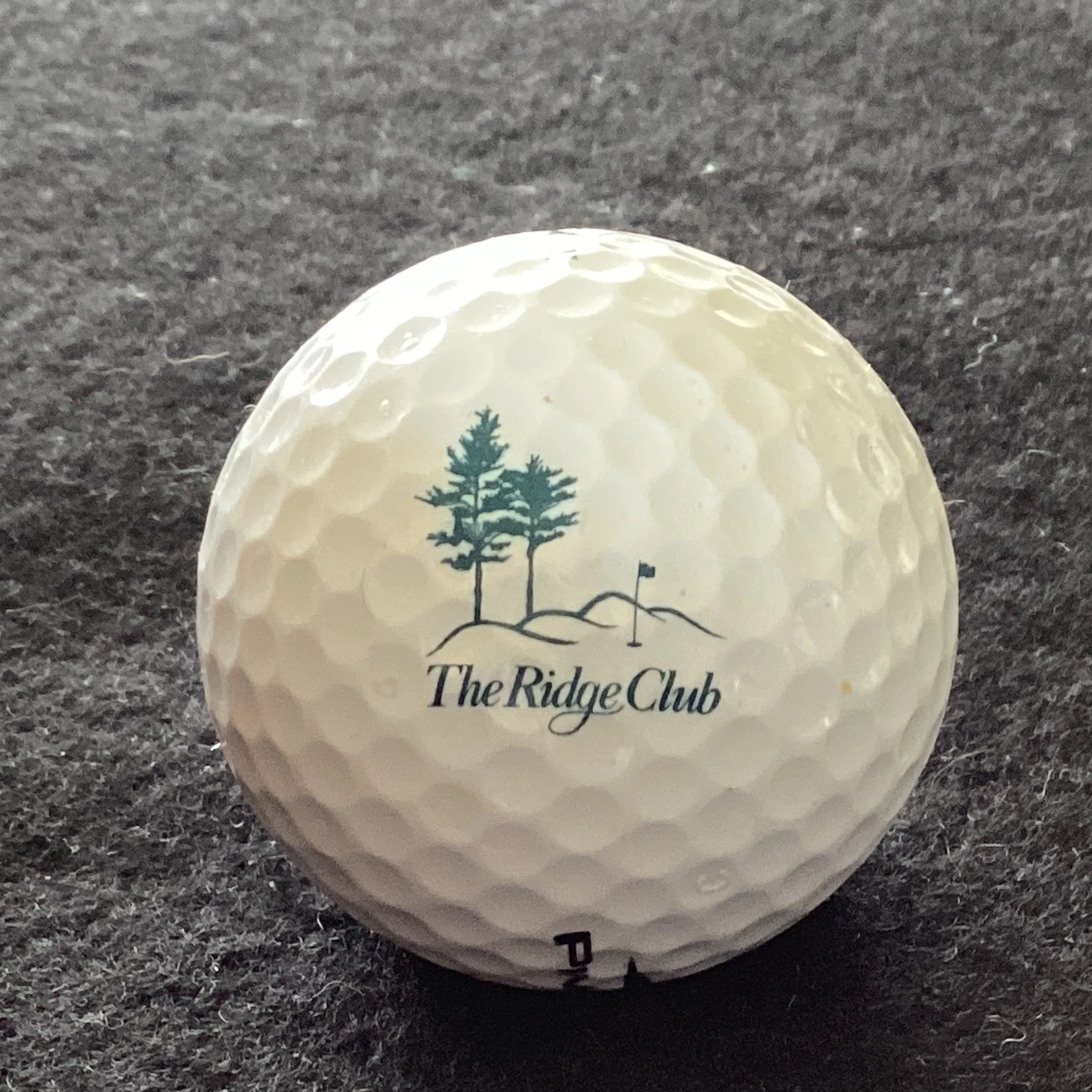 Ridge - The Ridge Club