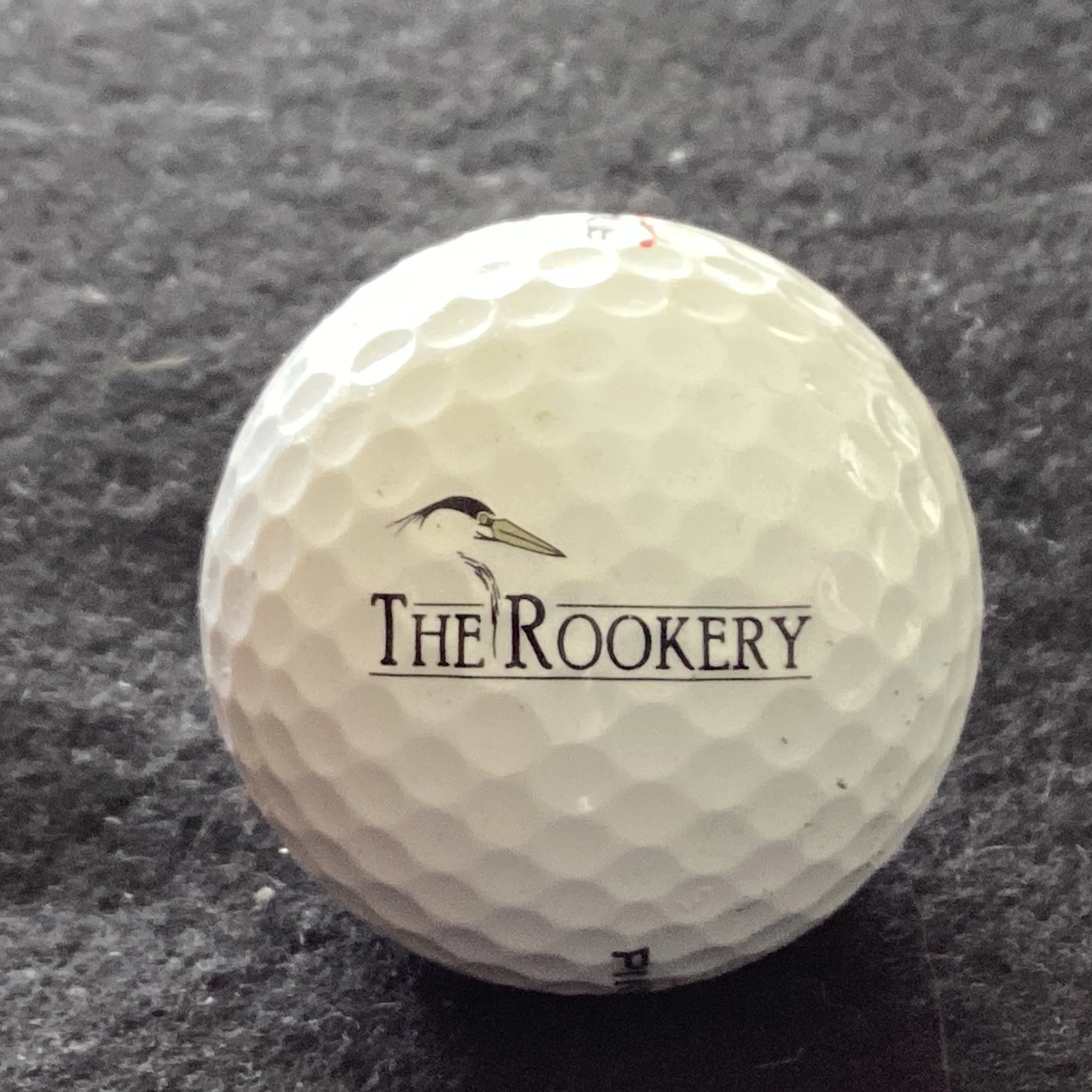 Rookery - The Rookery at Marco
