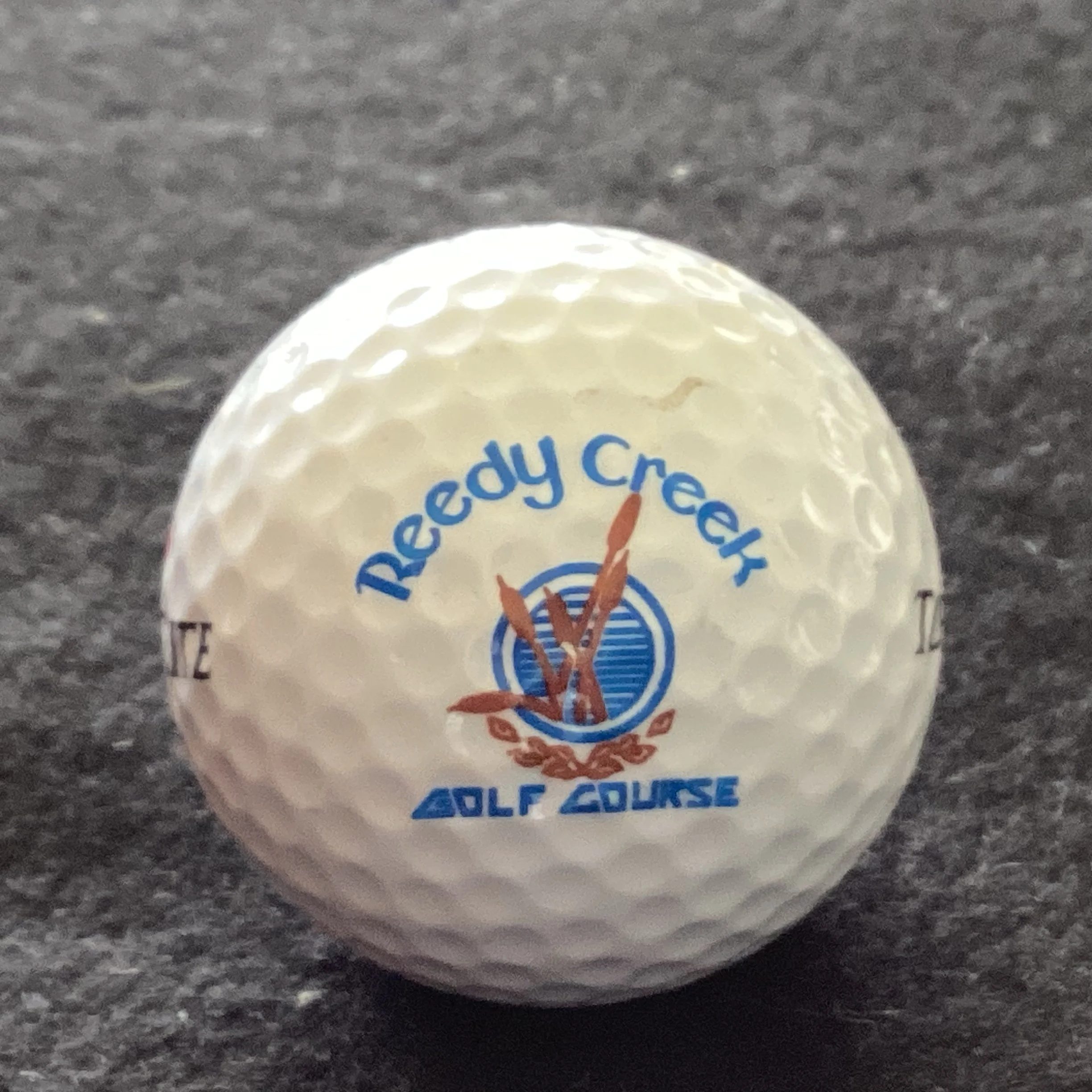 Reedy Creek Golf Course