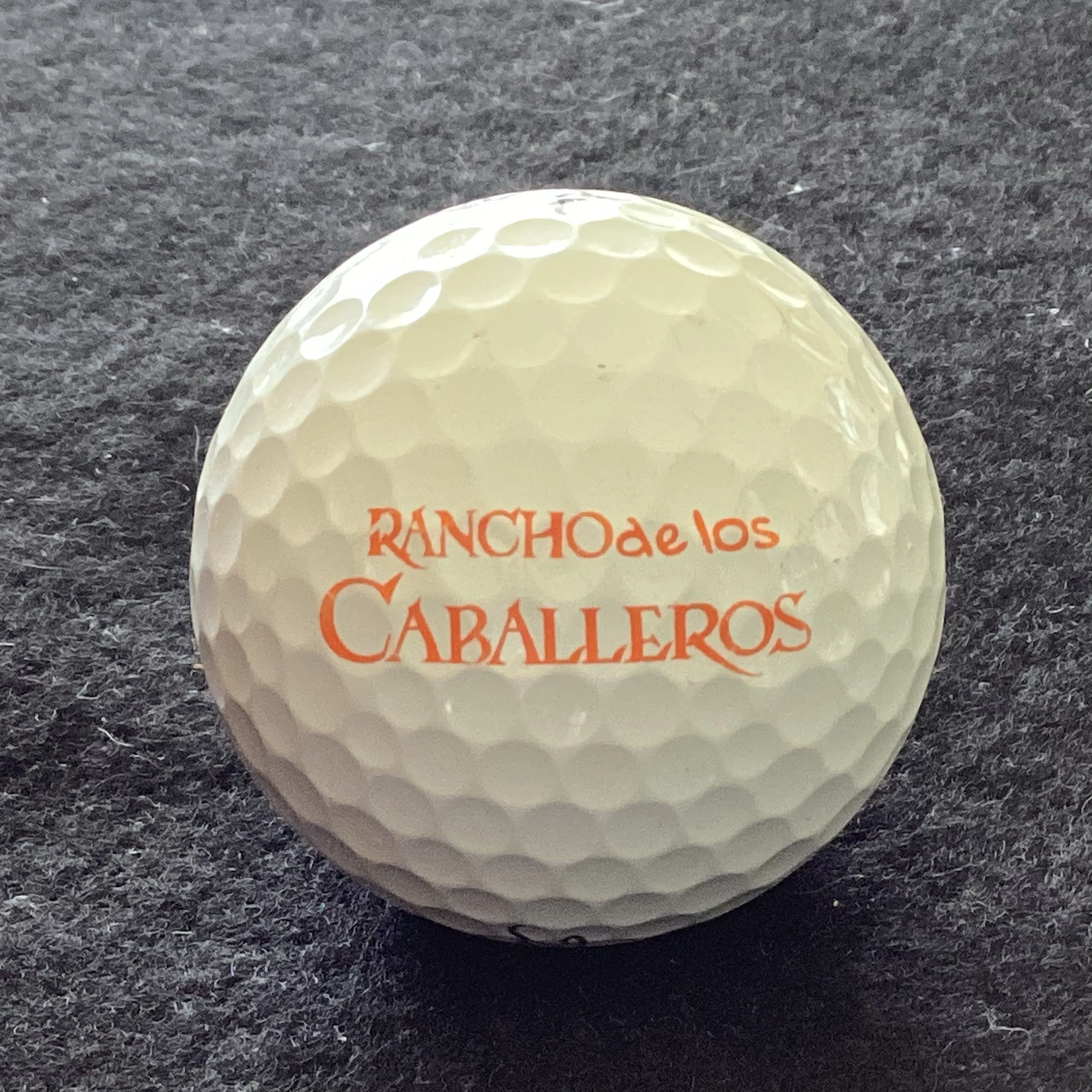 Rancho de Los Caballeros Resort and Golf Club
