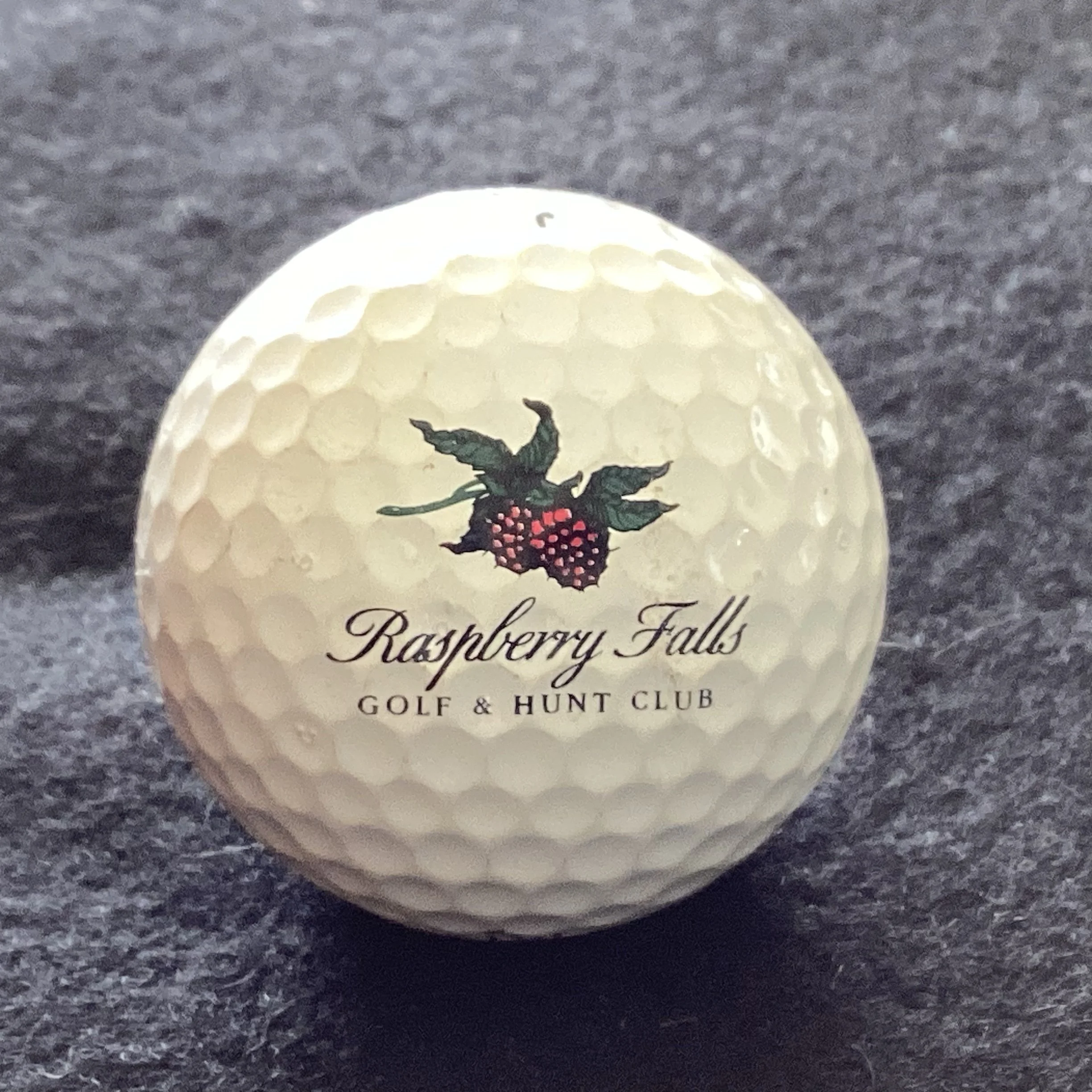 Raspberry Falls Golf and Hunt Club