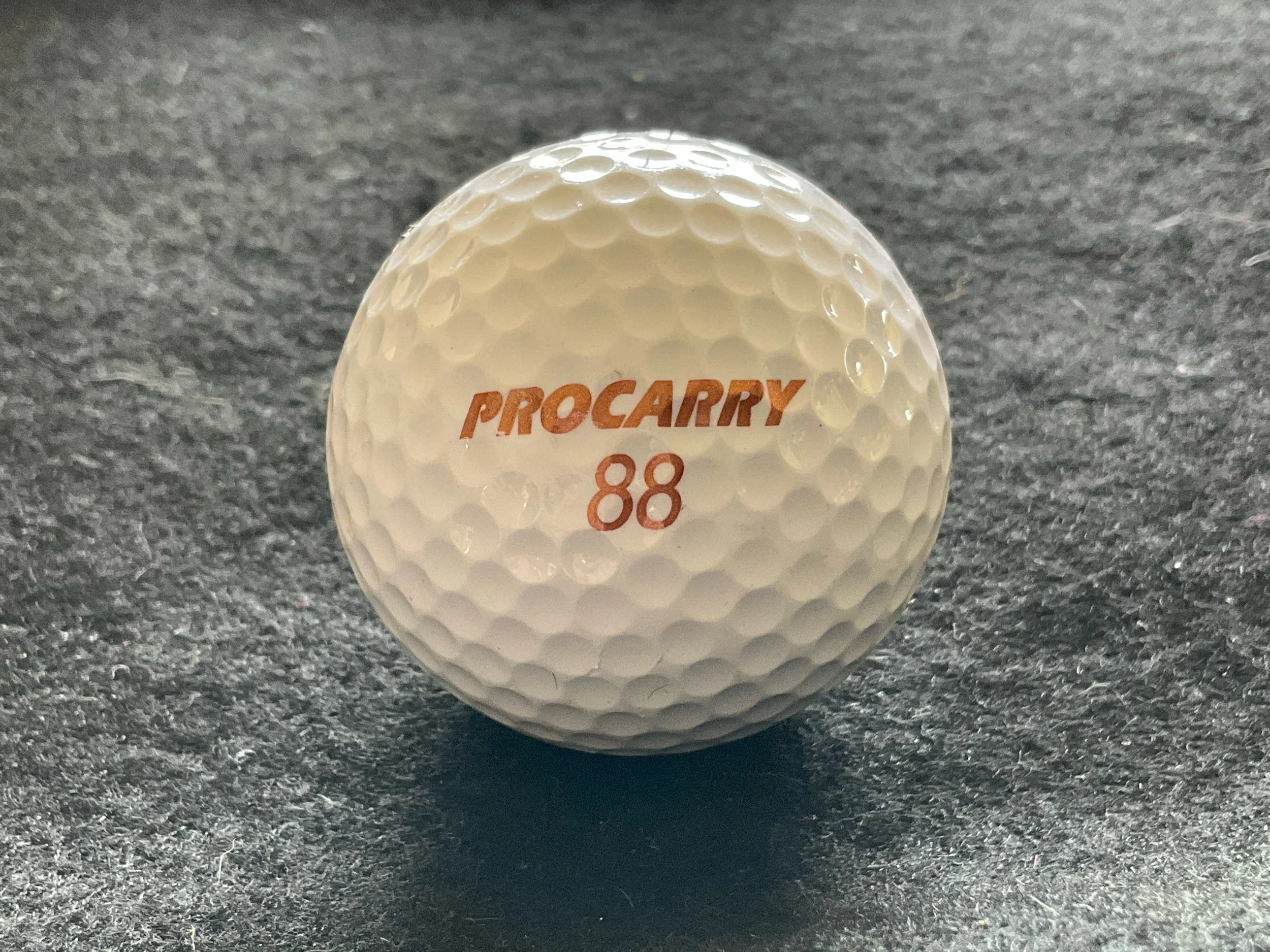 Procarry
