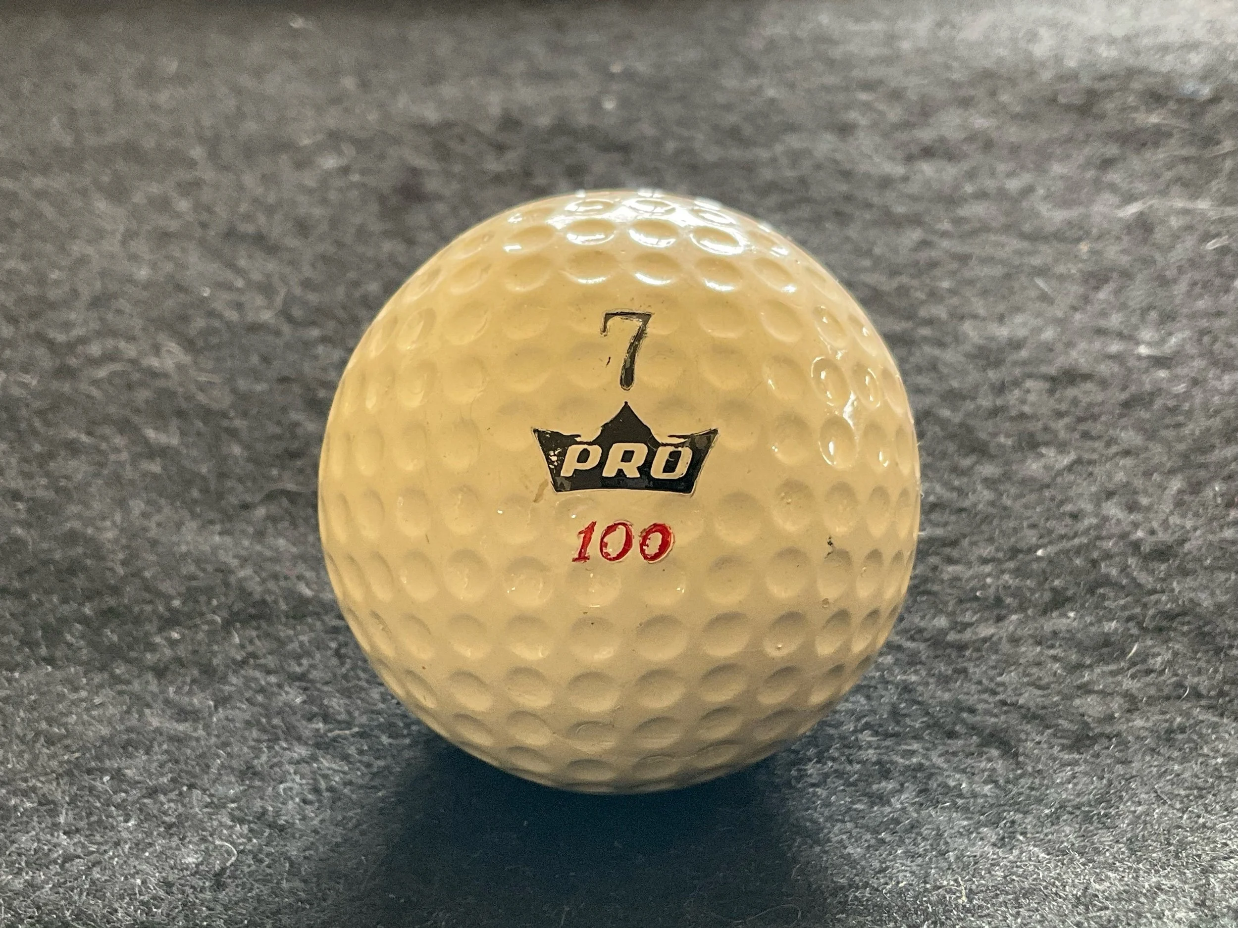 Pro 100