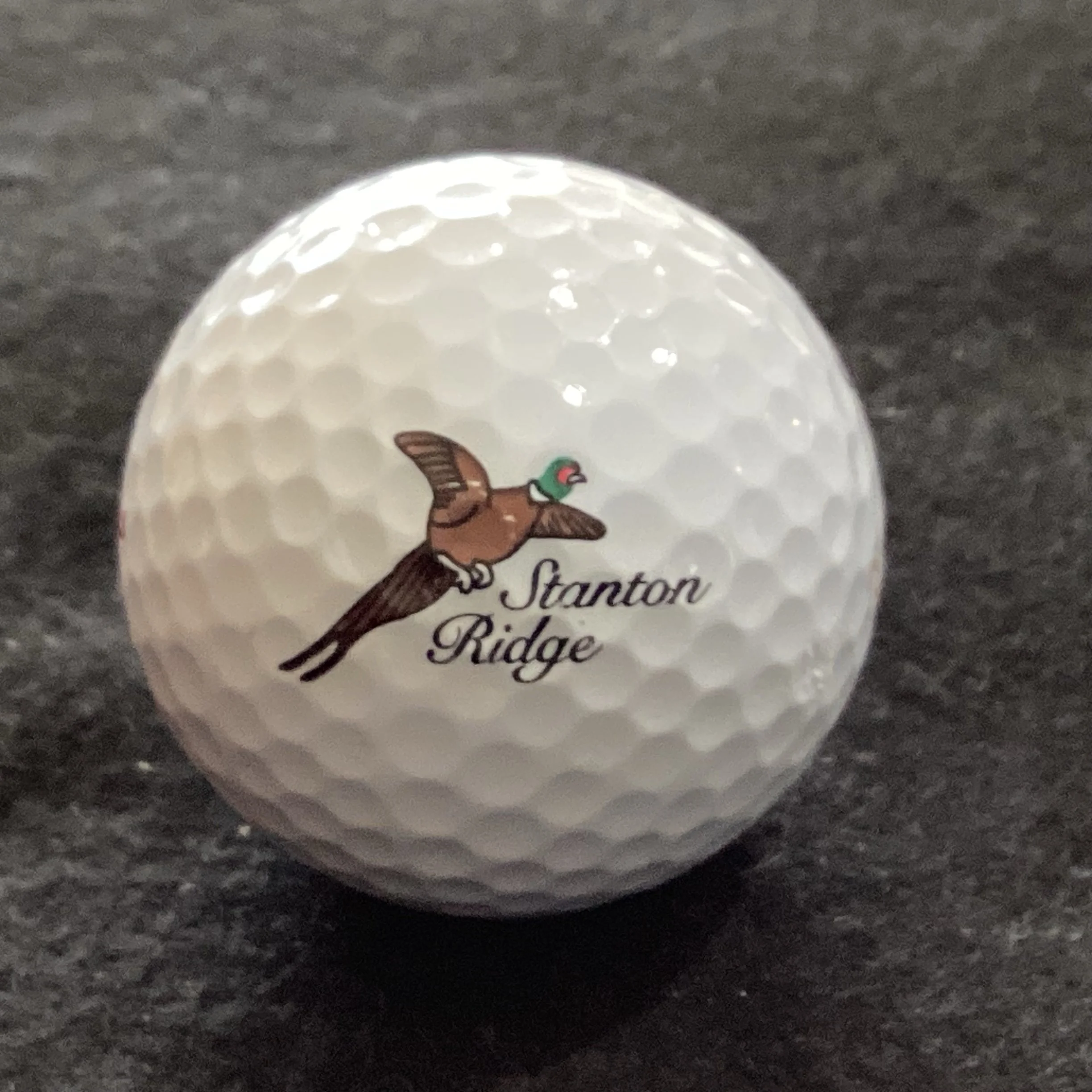 Stanton Ridge Golf and Country Club