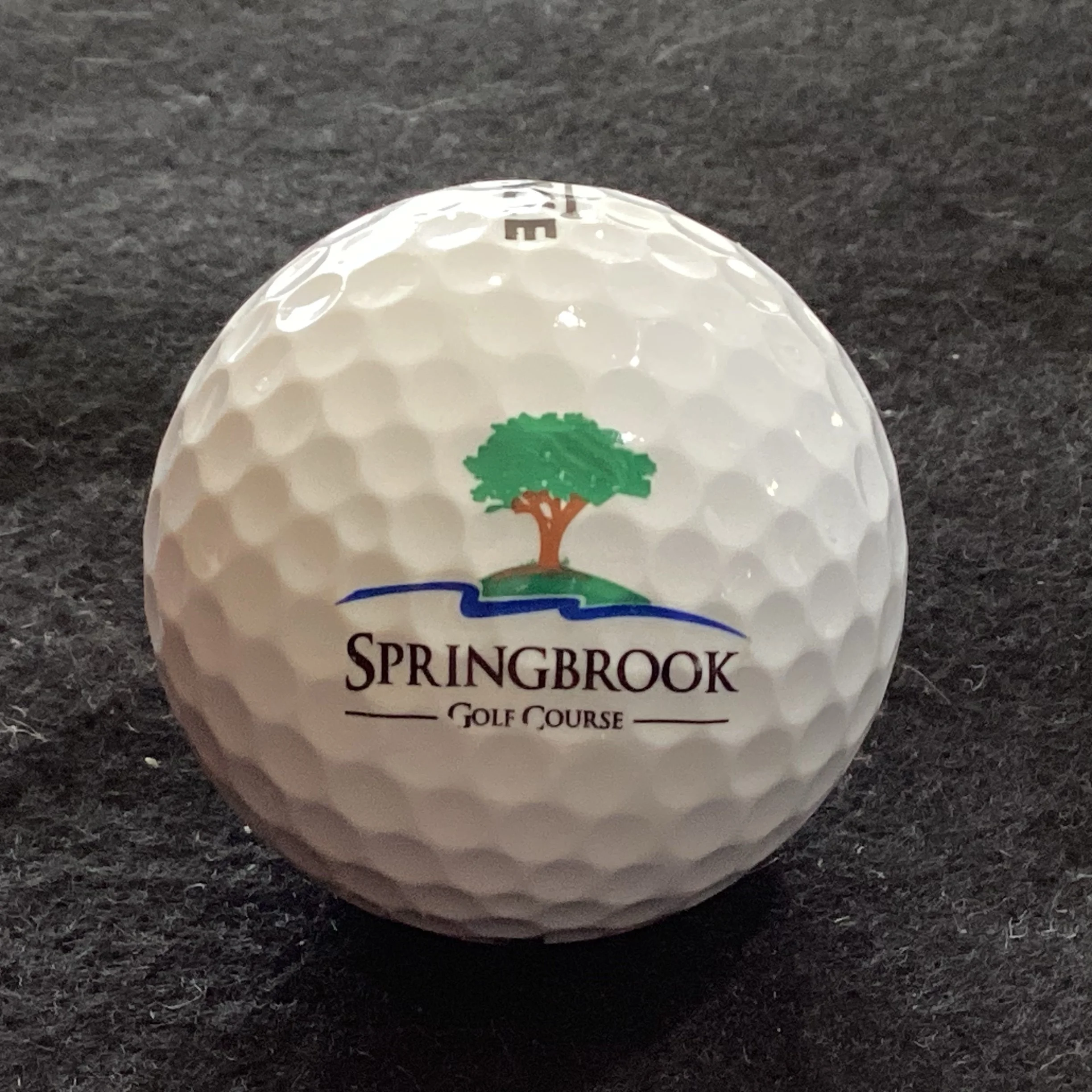 Springbrook Golf Course