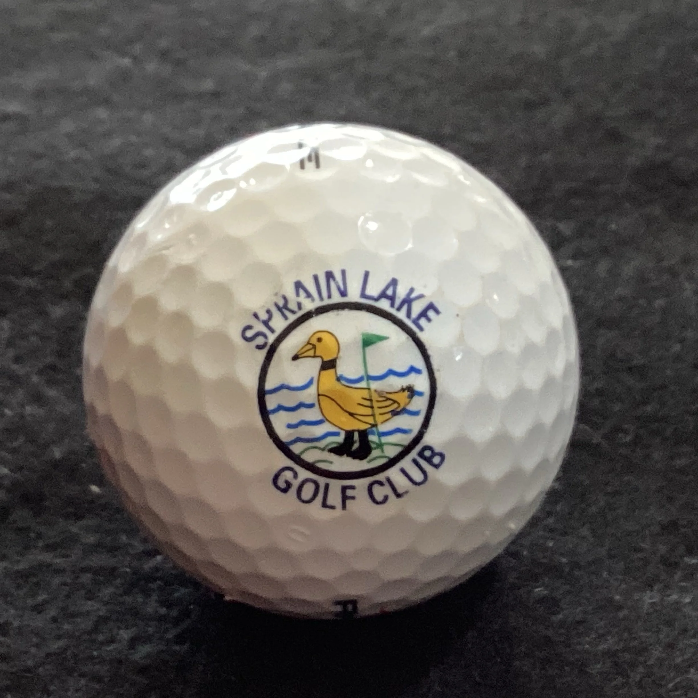 Sprain Lake Golf Club