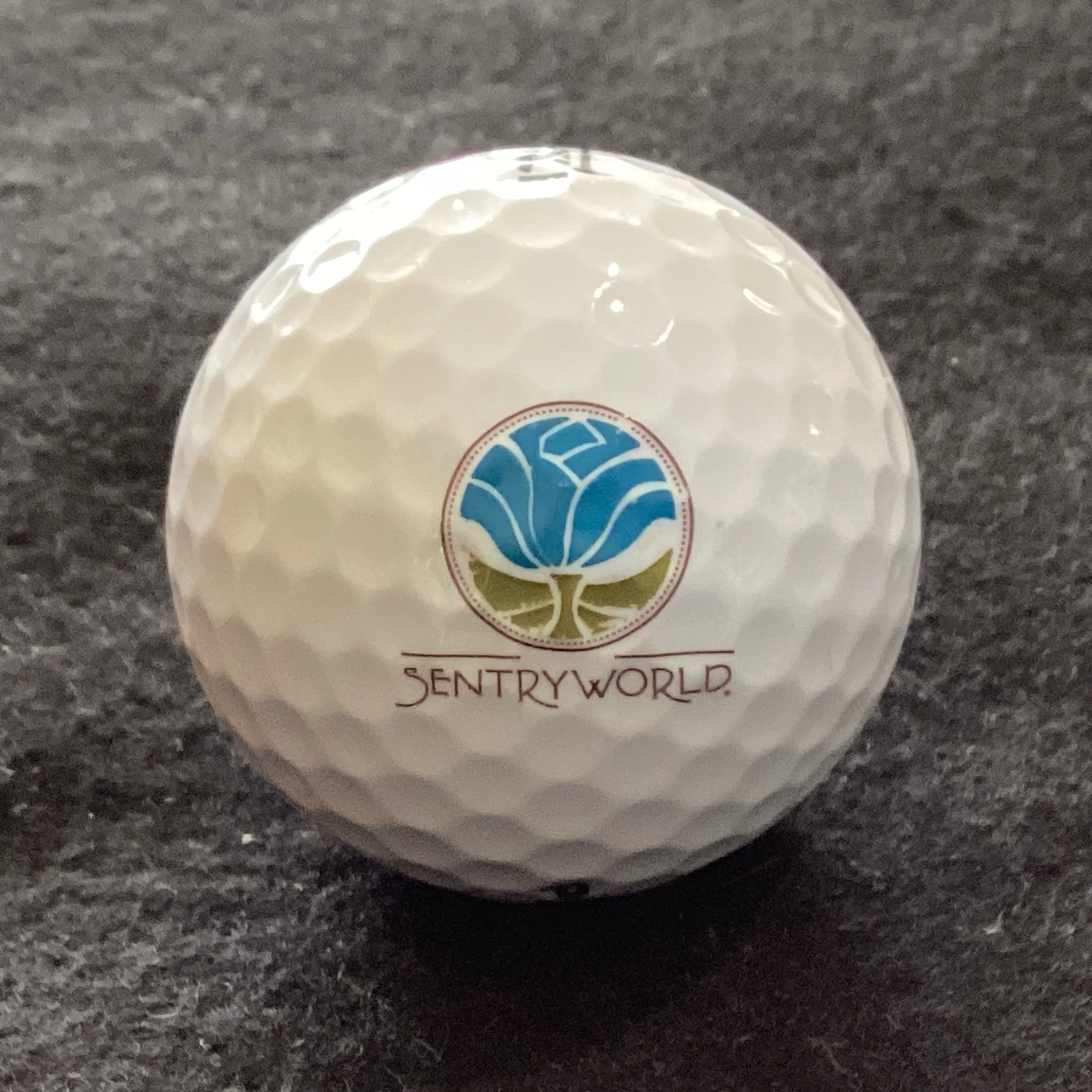 Sentry World Golf Club