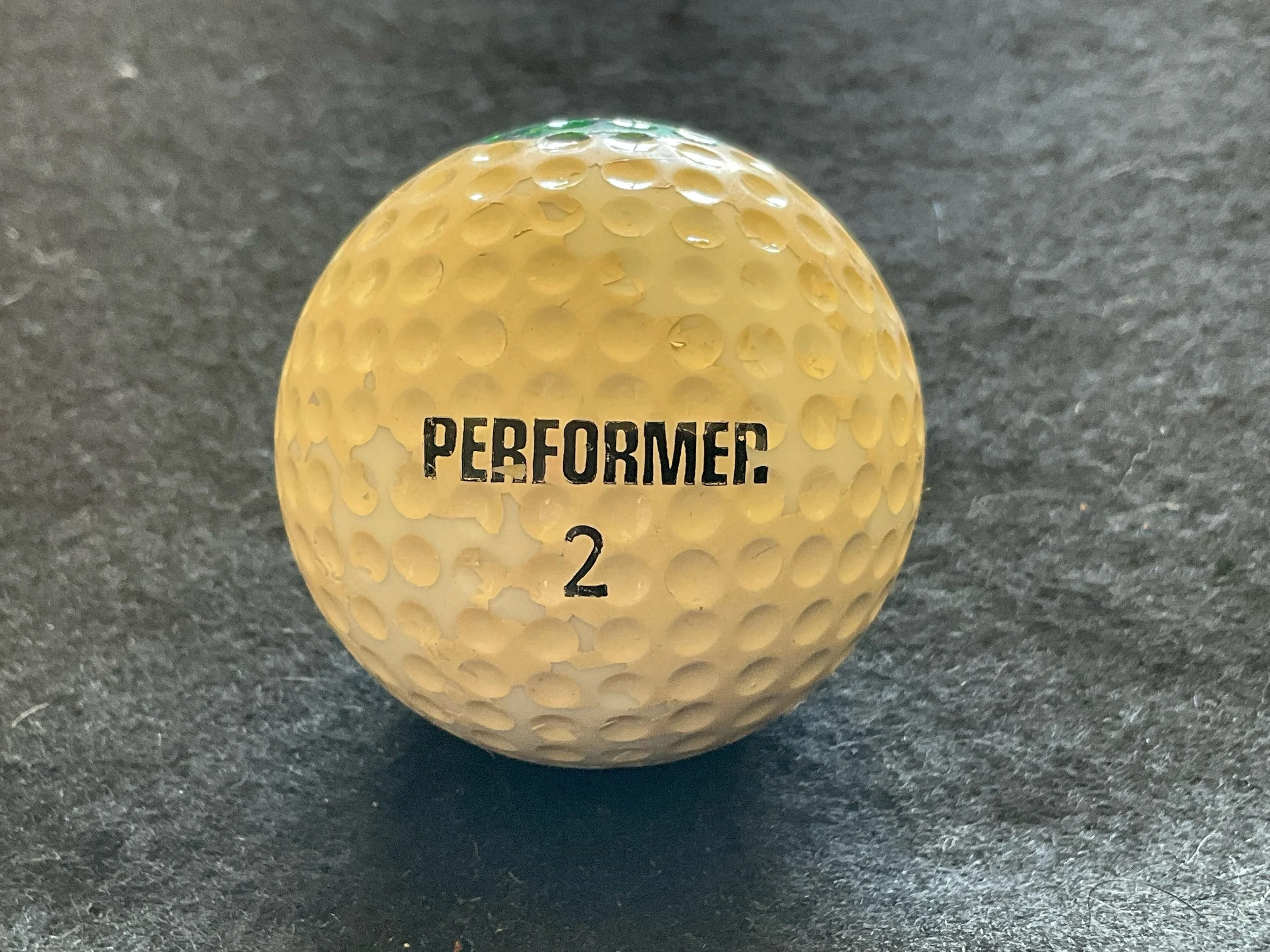 Performer