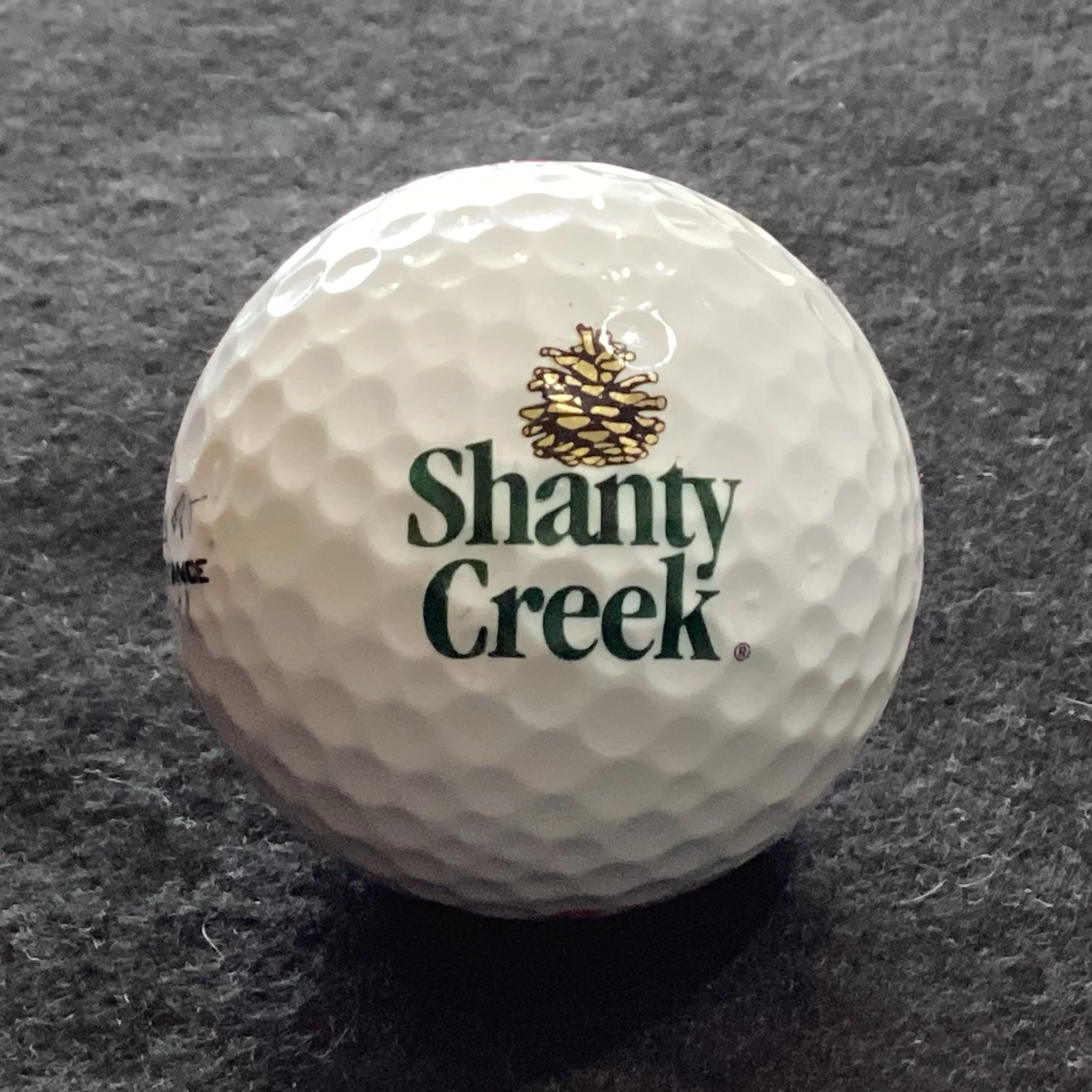Shanty Creek Resort