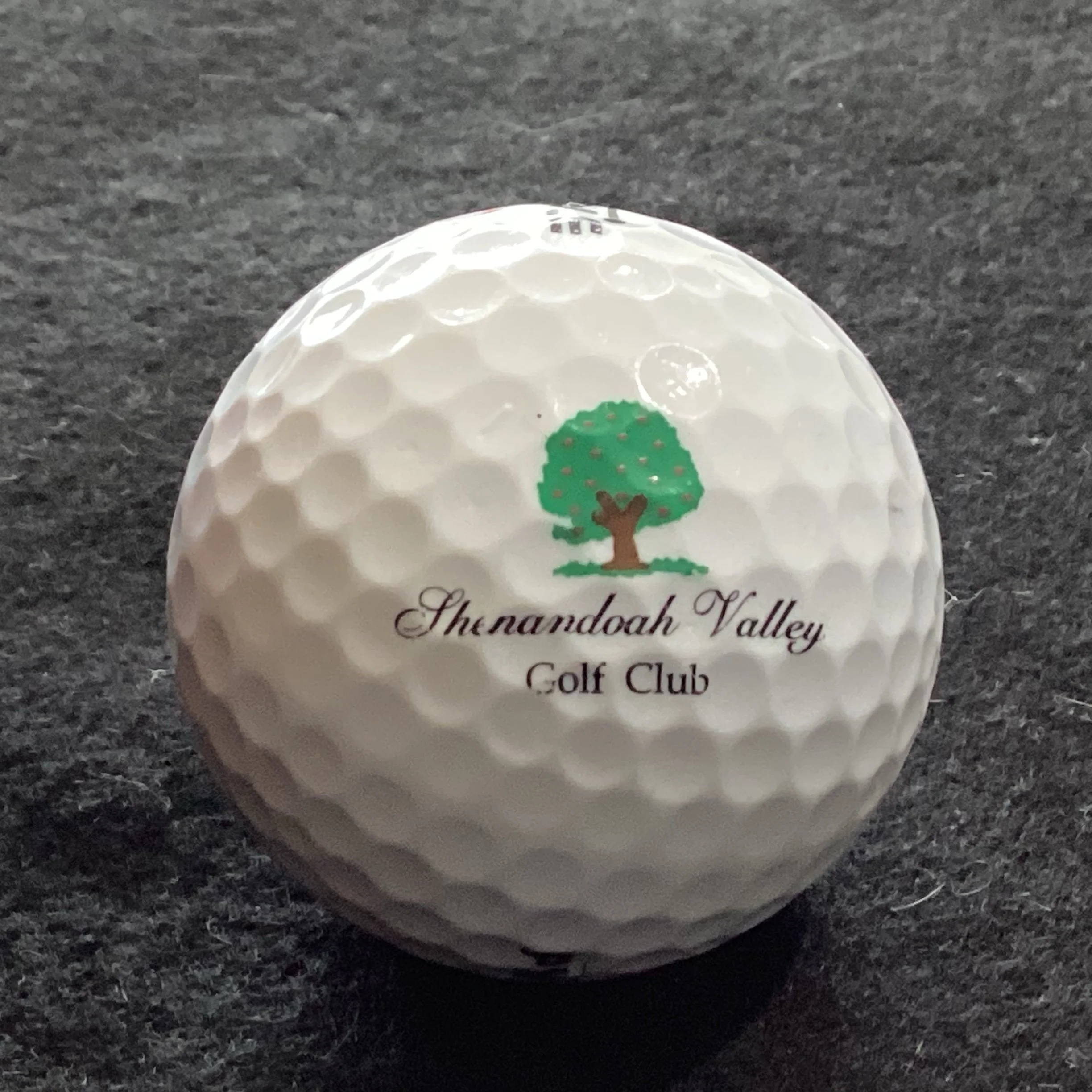 Shenandoah Valley Golf Club