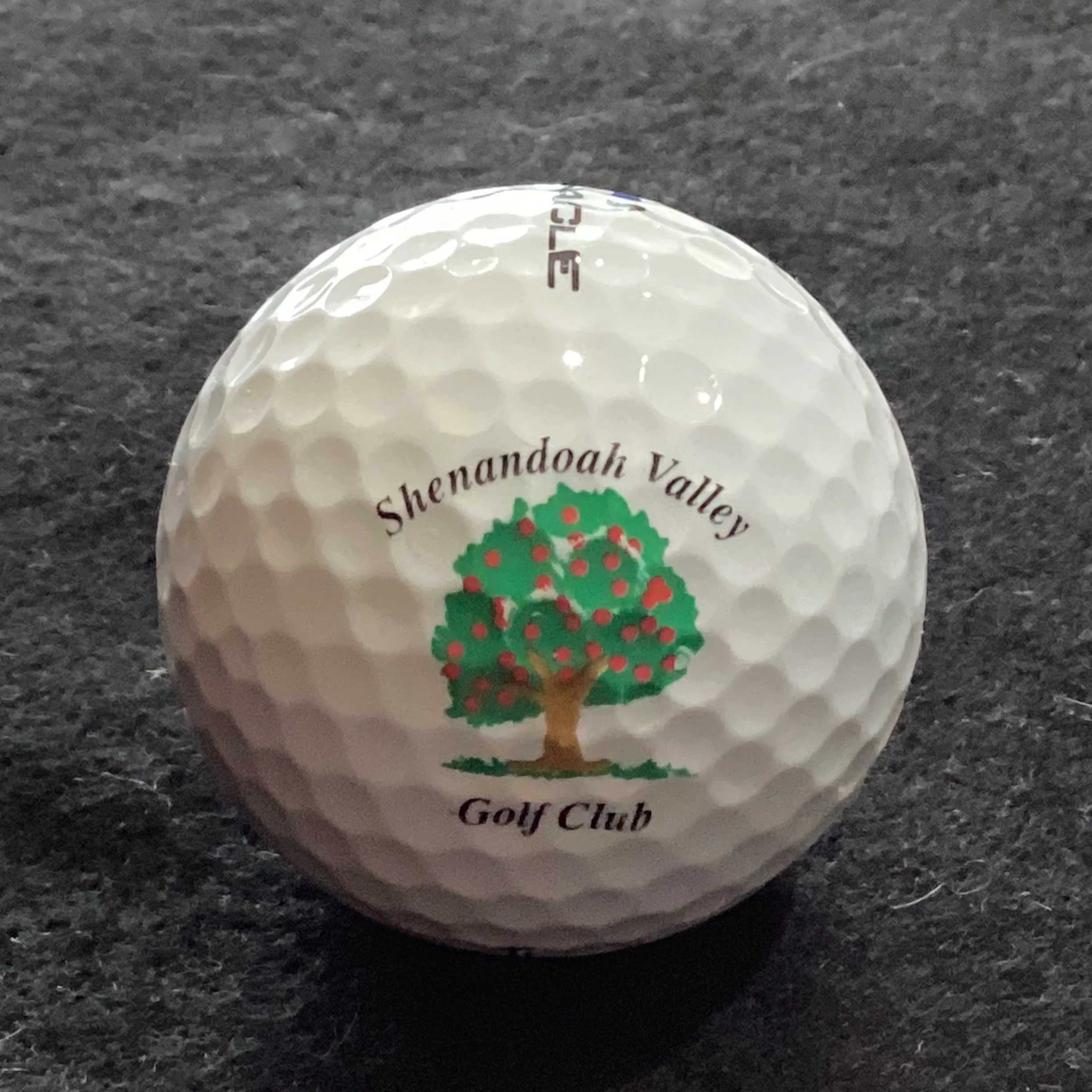 Shenandoah Valley Golf Club