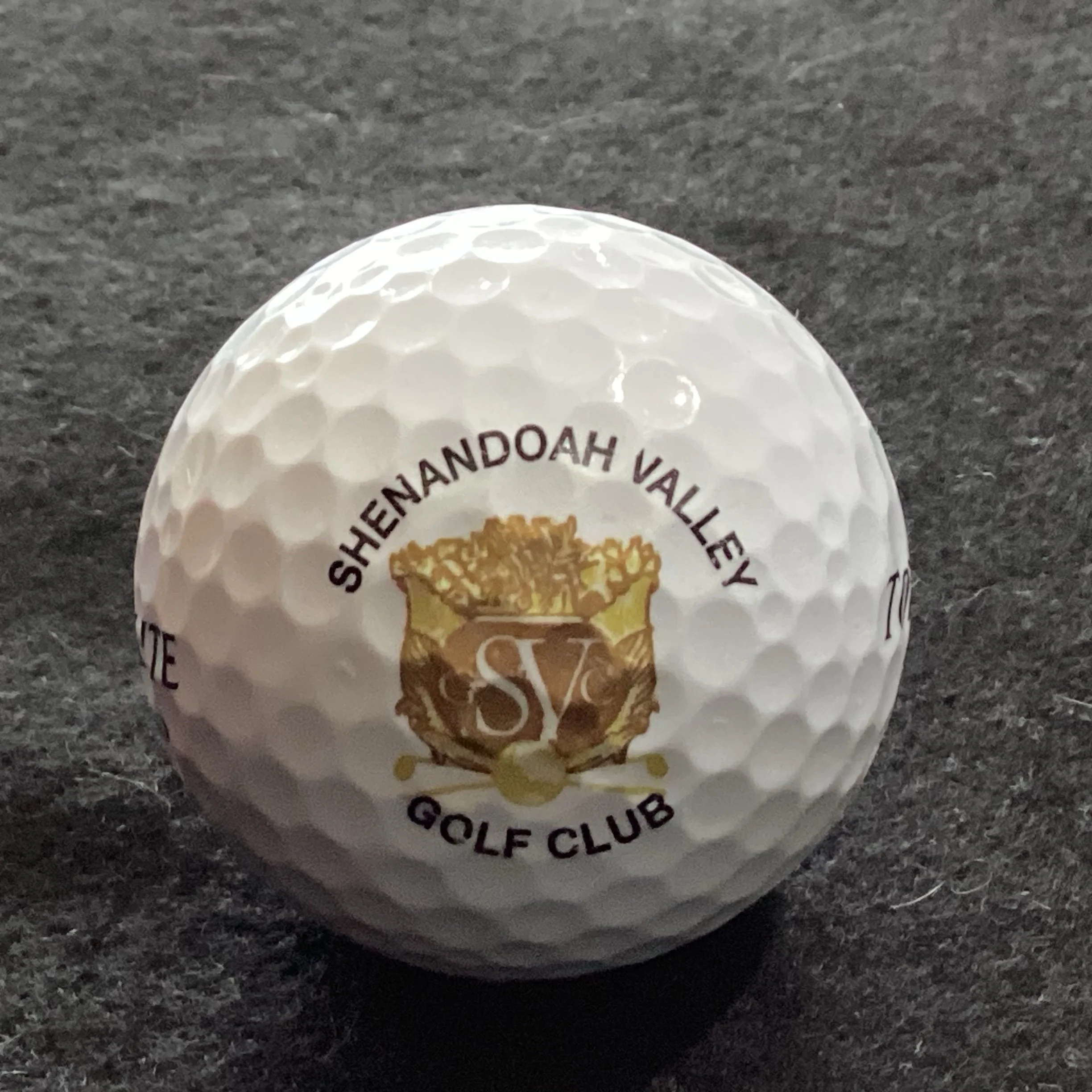 Shenandoah Valley Golf Club