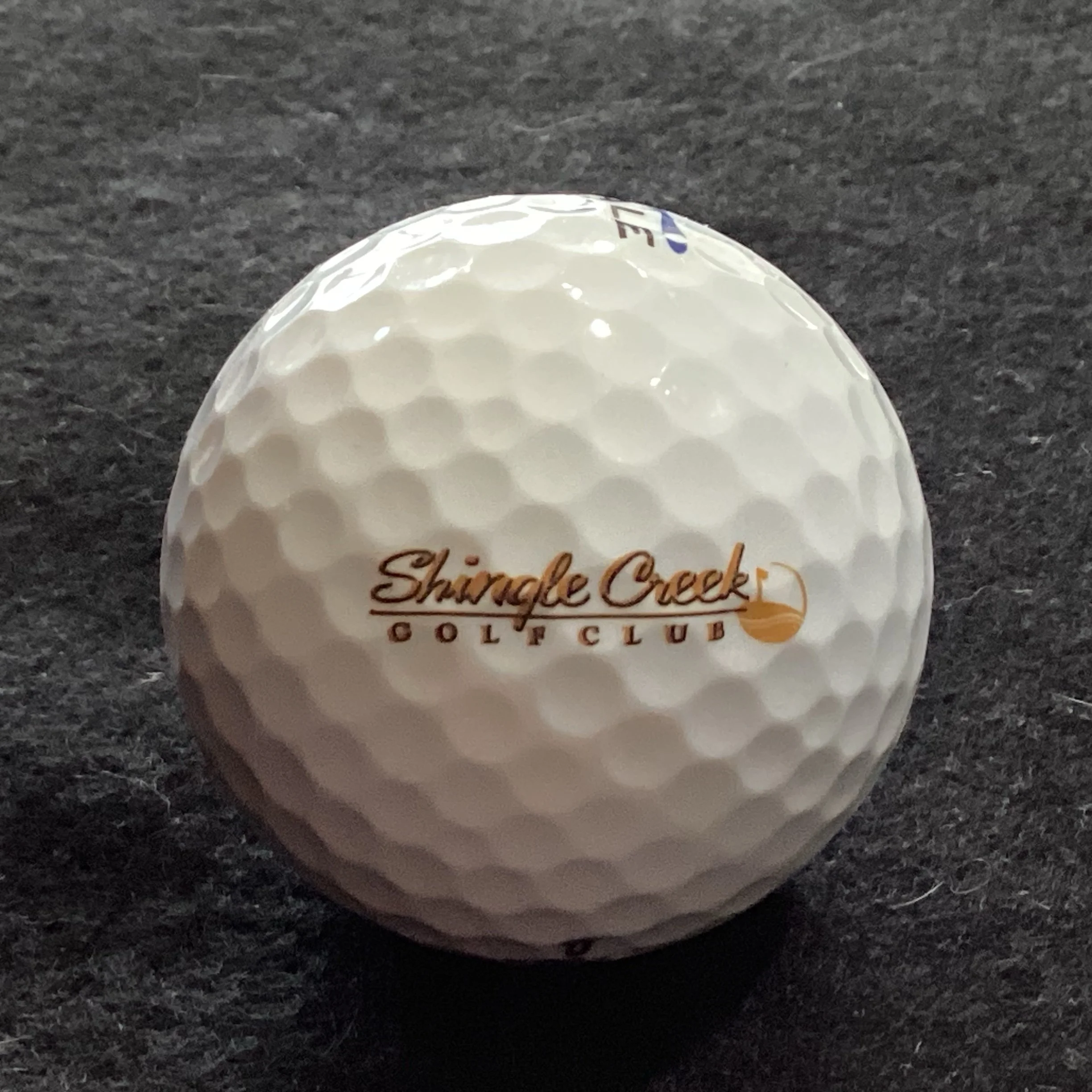 Shingle Creek Golf Club