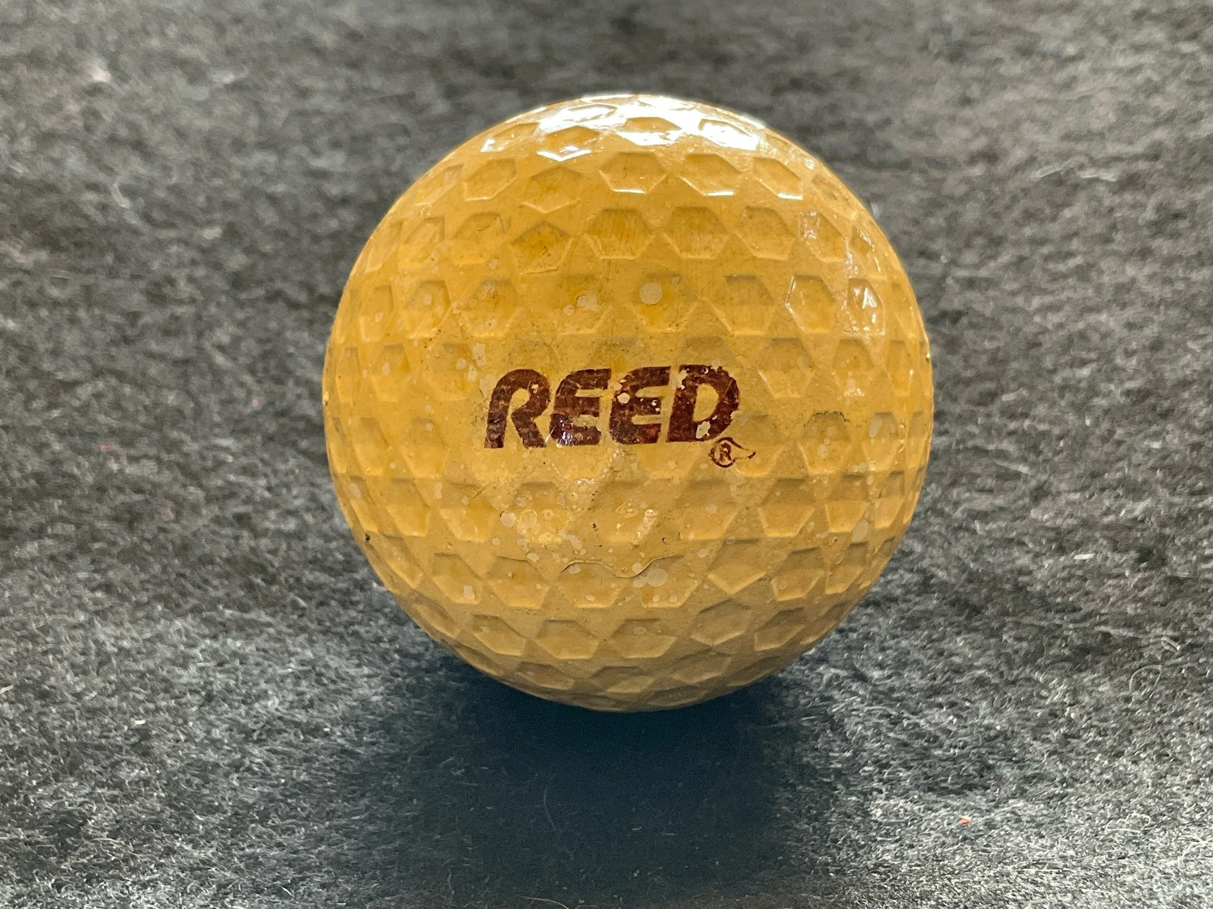 Reed