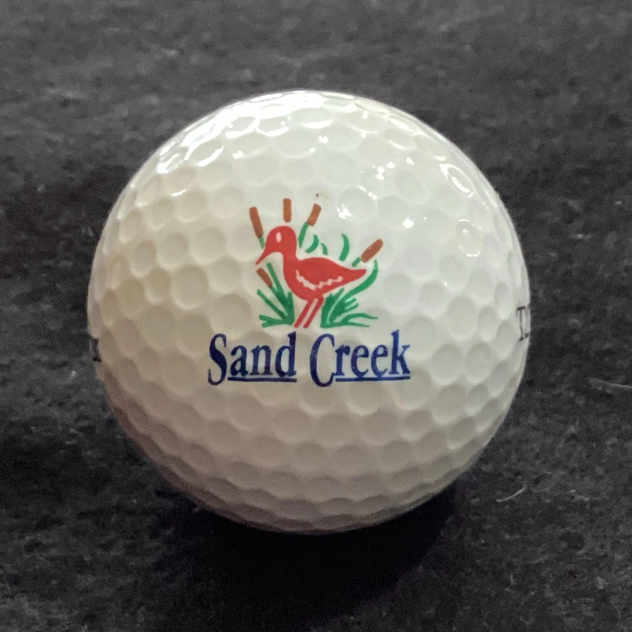 Sand Creek Golf Club