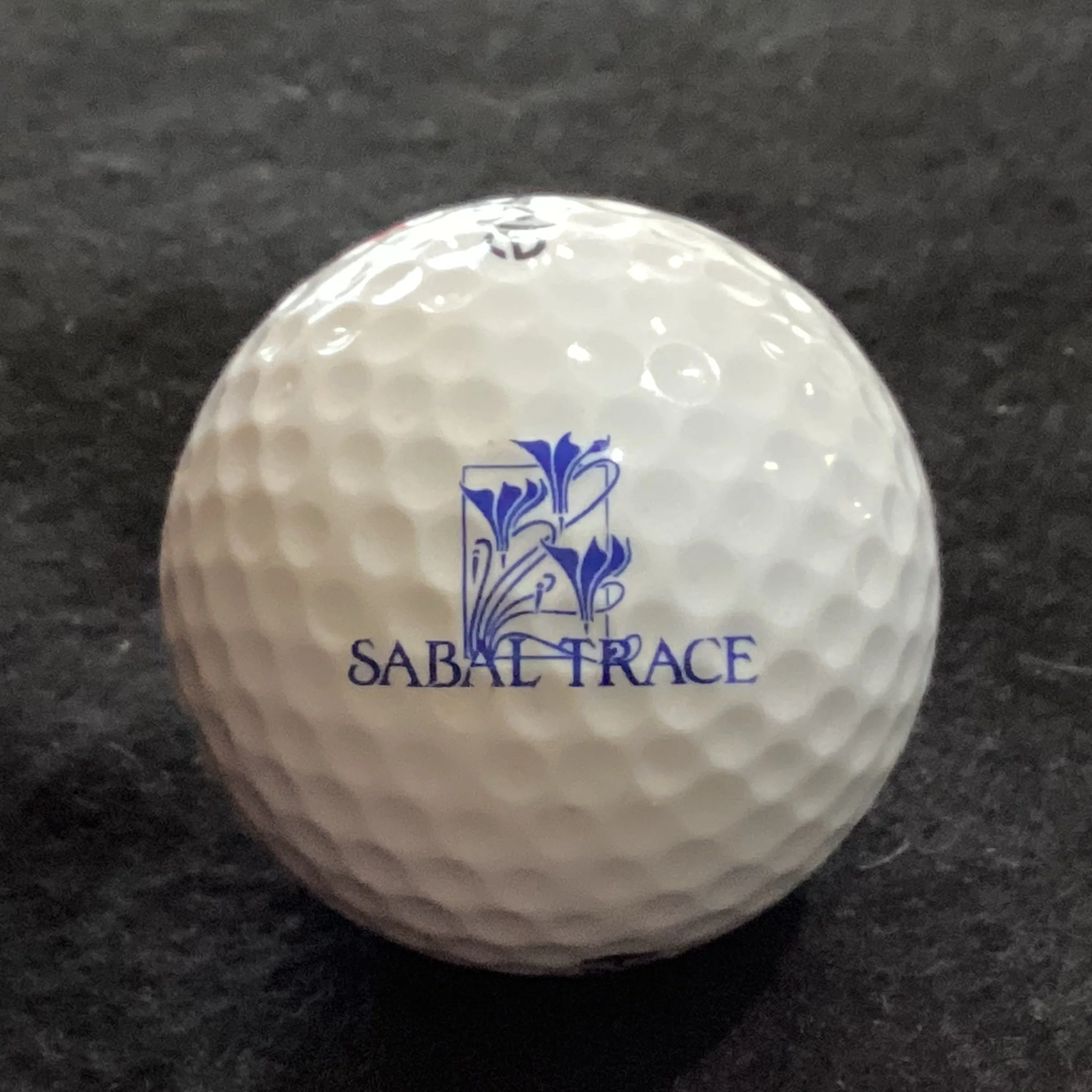 Sabal Trace Golf and Country Club